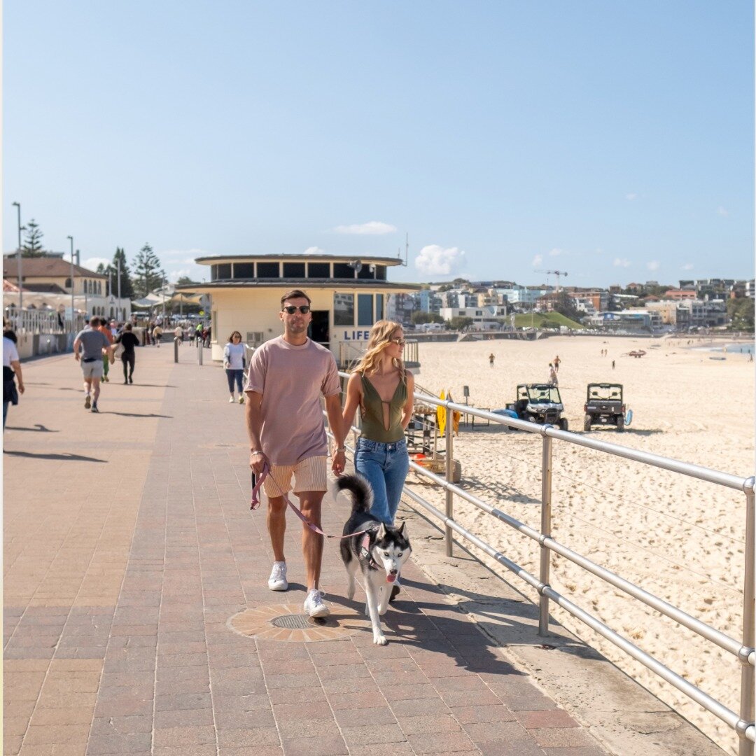 Did you know we are just a 2 minute walk from Bondi Beach? 💭

Click the link in our bio to book in now so you don't miss out on the fun! 🌊☀️

&bull;
&bull;
#bondi #bondibeach #bondiicebergs #bondiaccomodation #bonditourism #missbakersbondi #bondibe