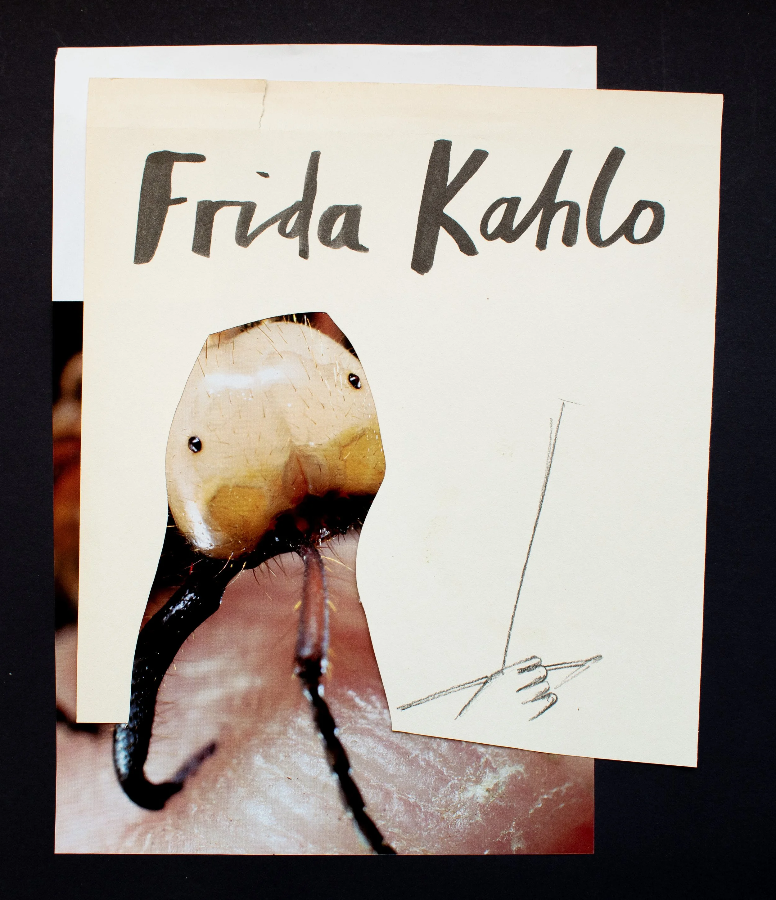 FridaKahlo.jpg