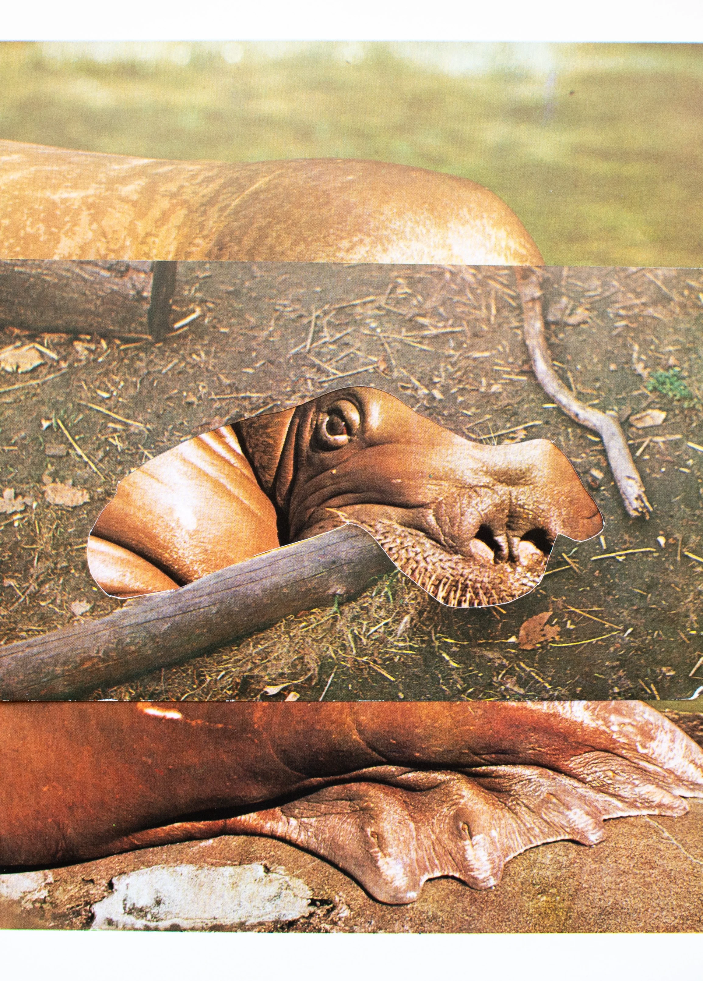 TheWalrus.jpg