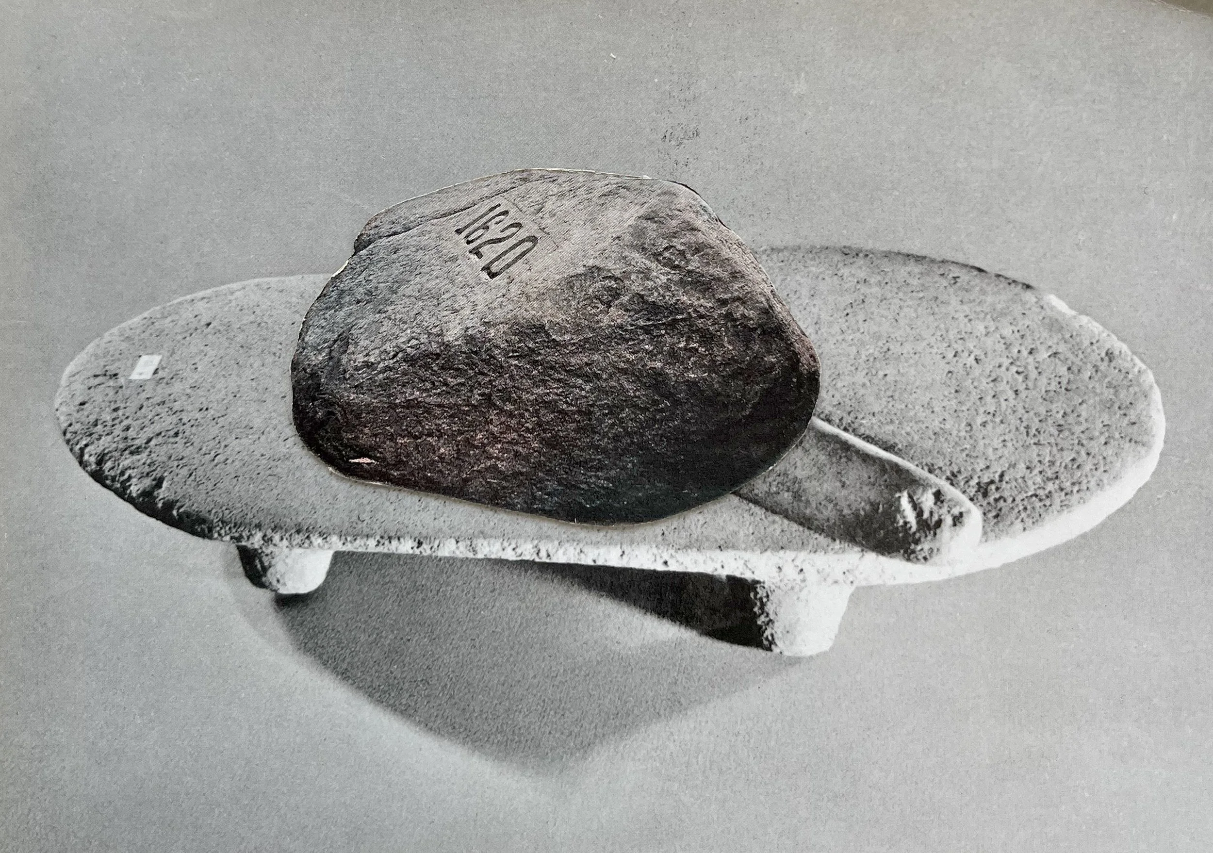 PlymouthRockTable.jpg