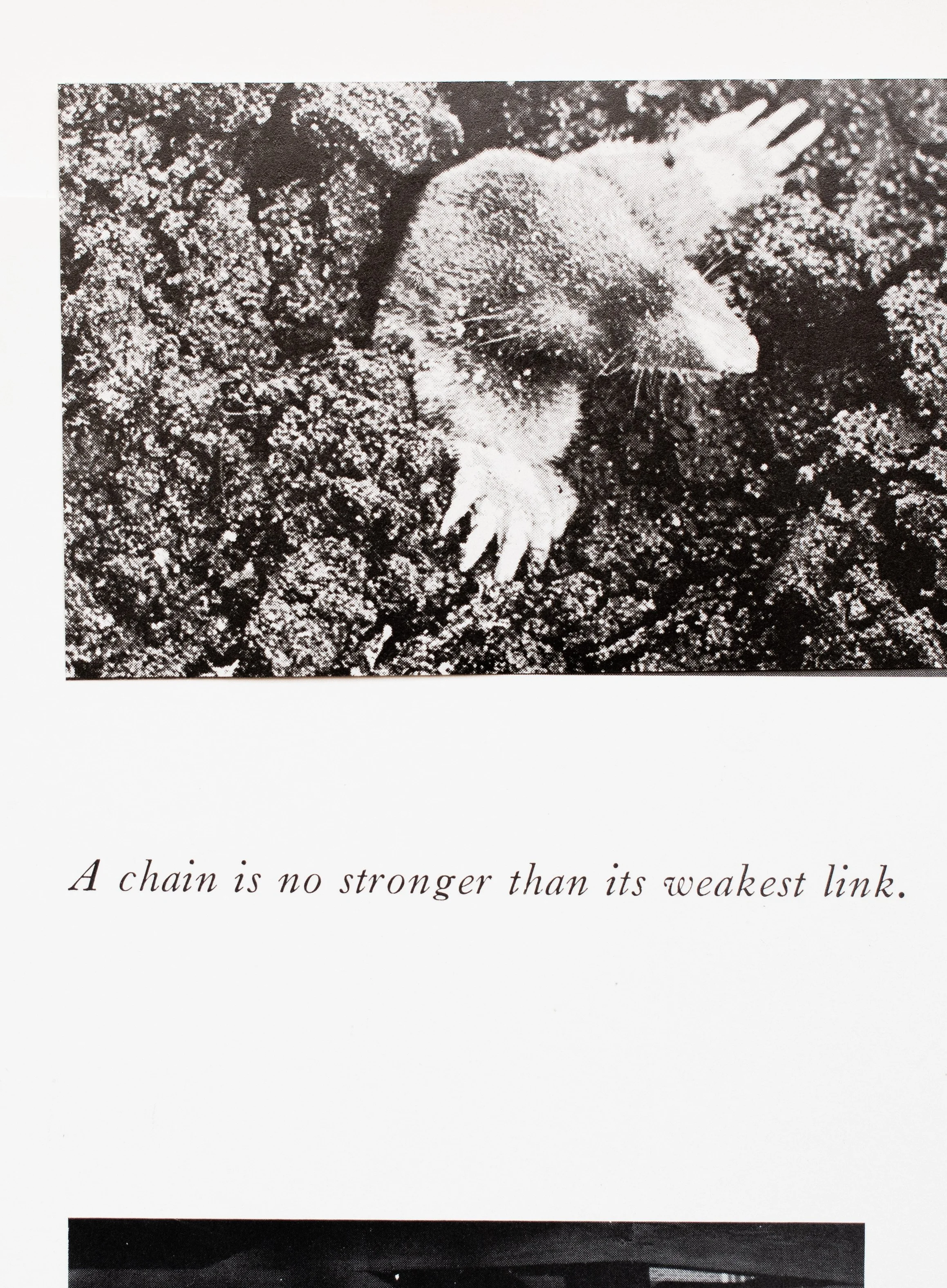 WeakestLink.jpg