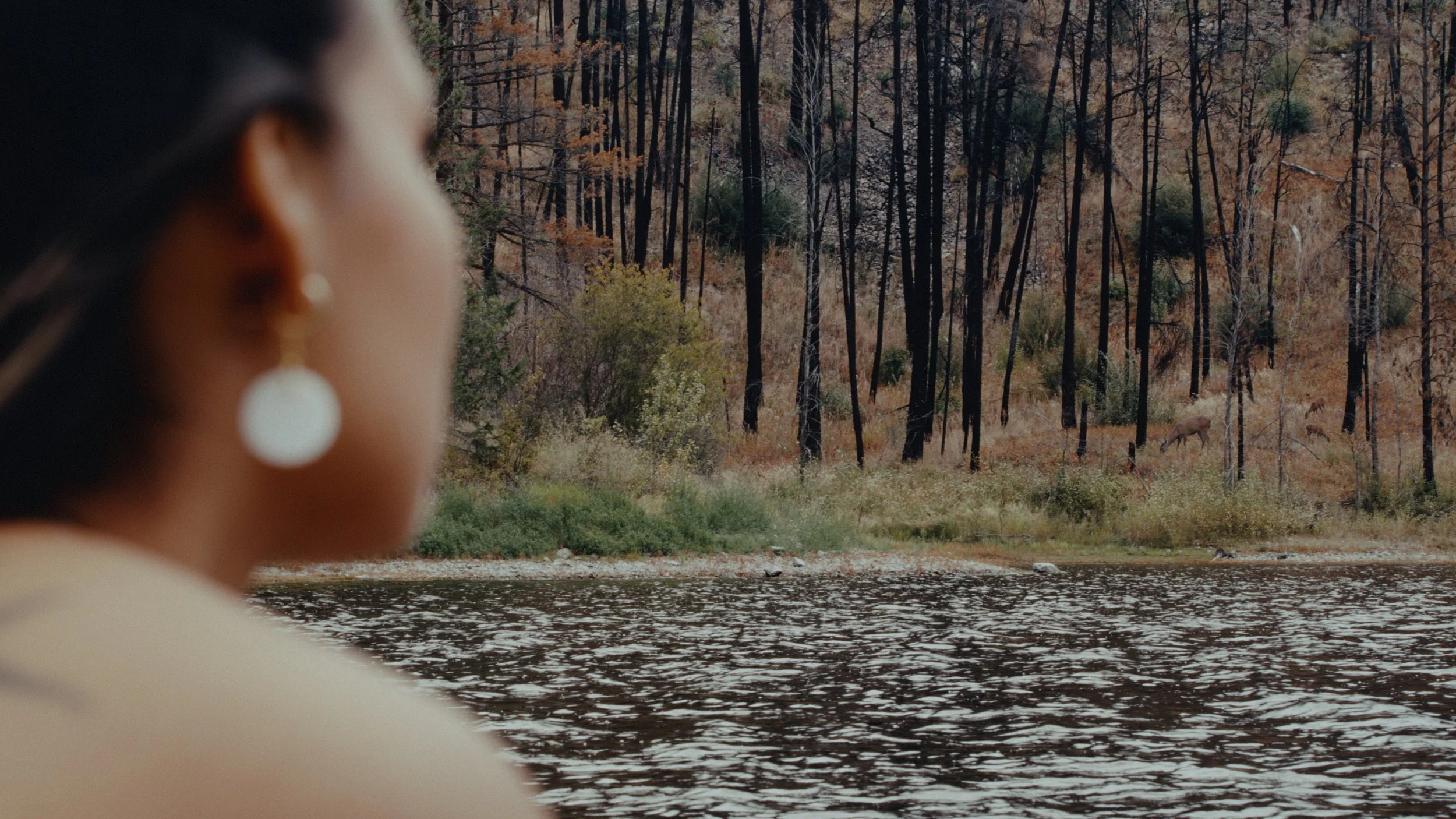 That Which Gives Us Life_3.27.1.jpg