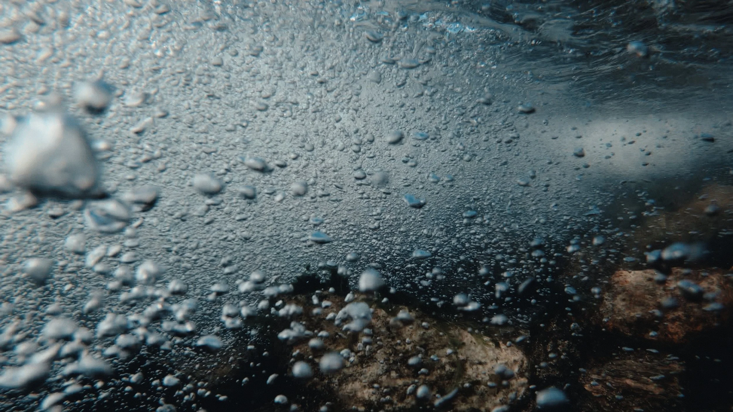 That Which Gives Us Life_3.7.1.jpg