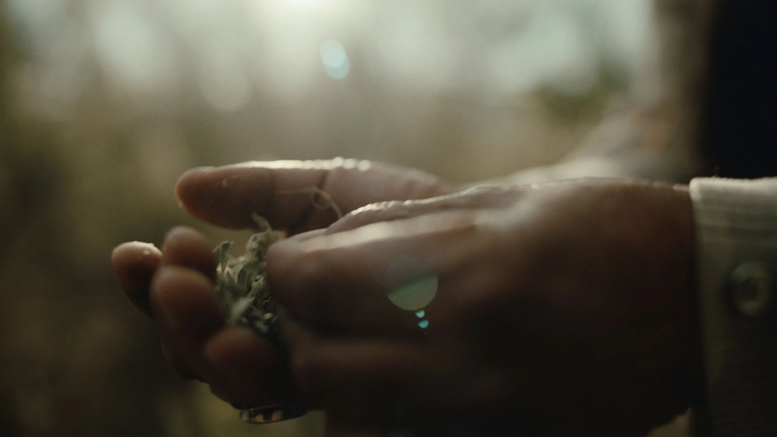 That Which Gives Us Life_2.23.1.jpg