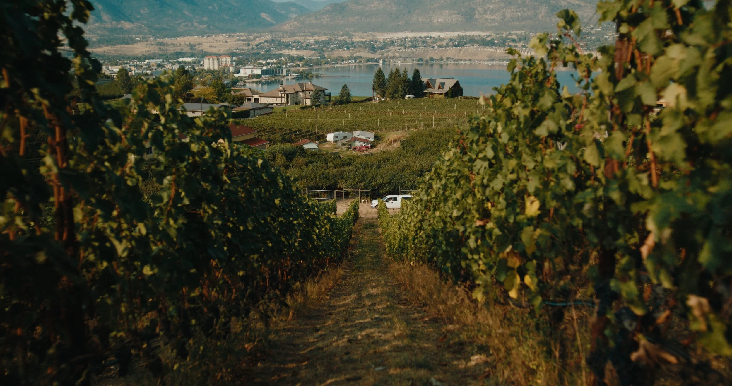 TOTA_V&V_EP 2 Still_JPEG_2.2.1.jpg