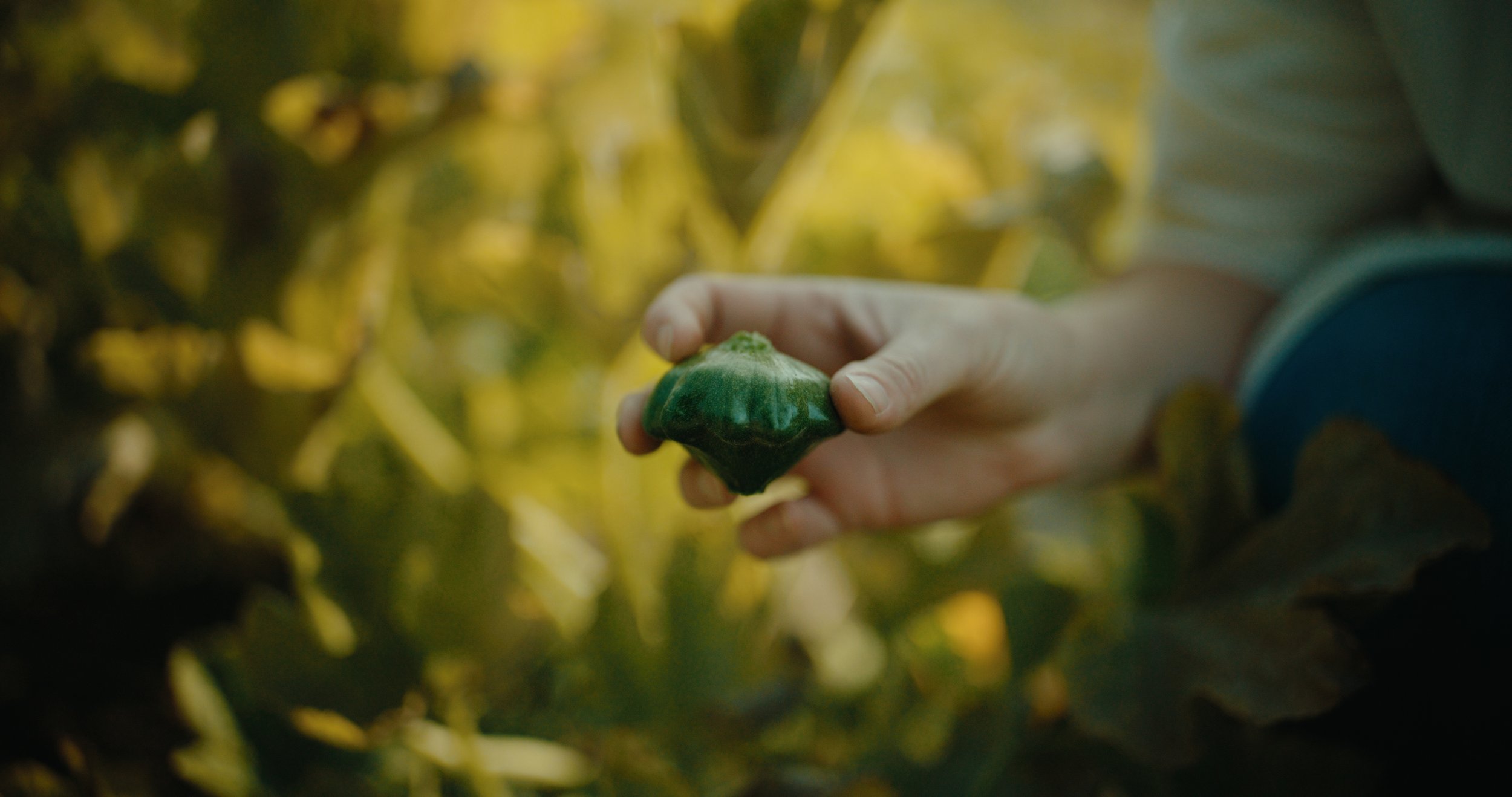 TOTA_V&V_EP 2 Still_JPEG_2.36.1.jpg