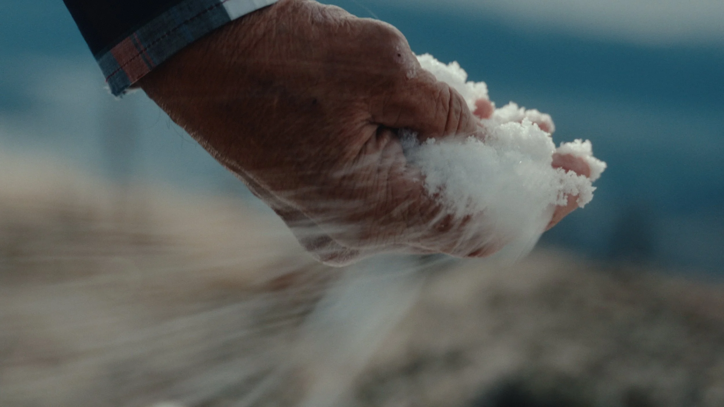 That Which Gives Us Life_3.22.1.jpg