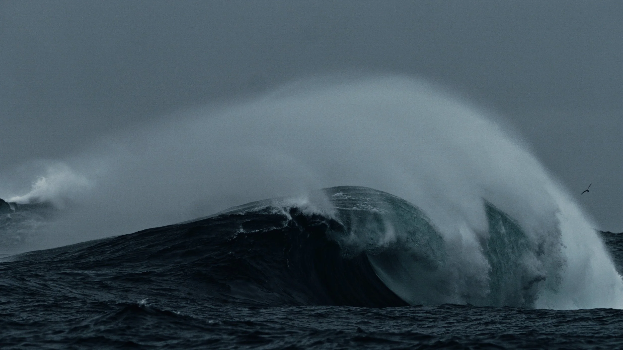 Shaped Us Over Time_Still_Jpeg_1.37.1.jpg