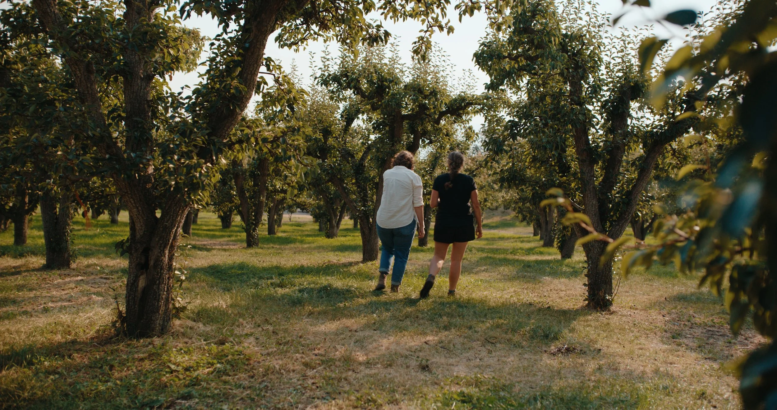 TOTA_V&V_EP 2 Still_JPEG_1.32.1.jpg