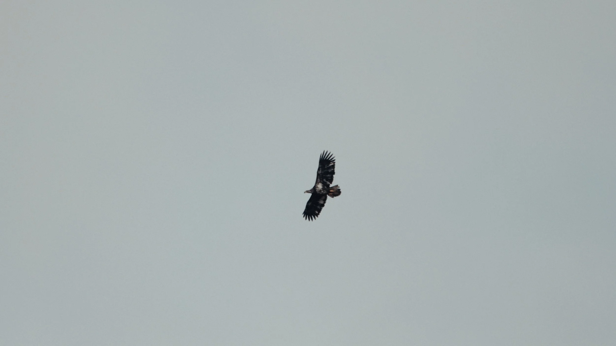 That Which Gives Us Life_3.12.1.jpg