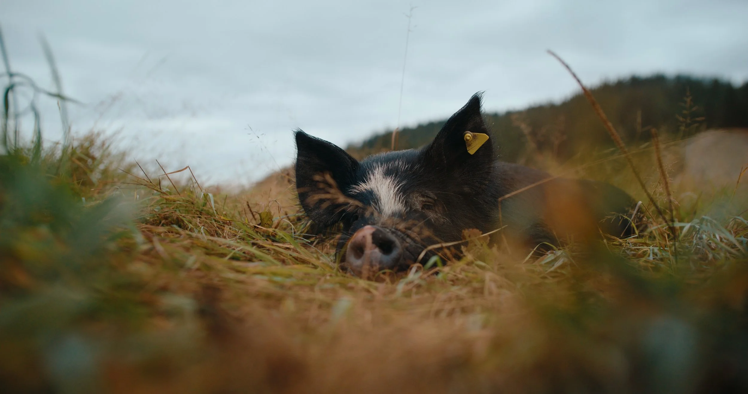 DBC_RTR_EP 6 Still_JPEG_2.6.1.jpg