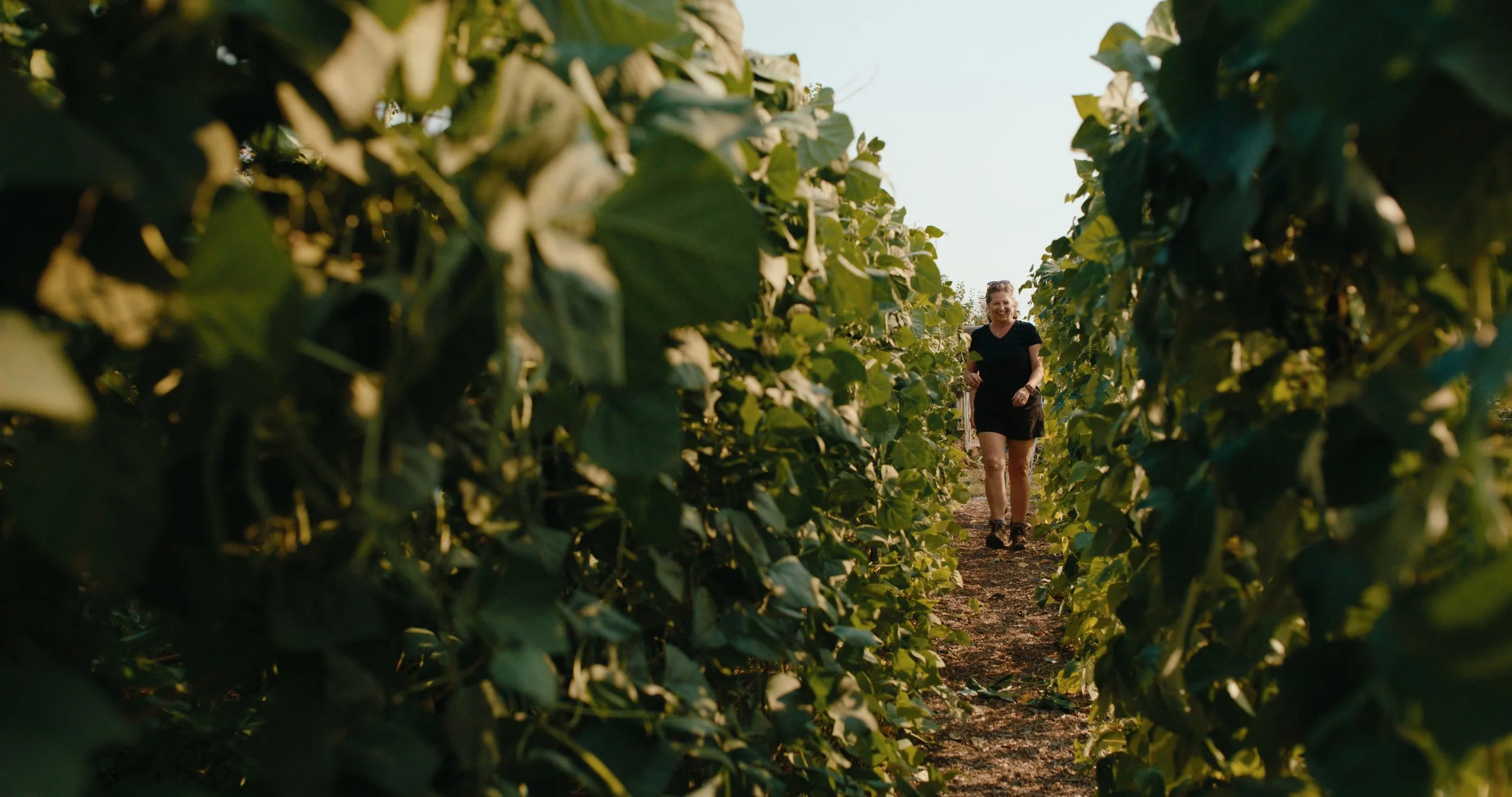 TOTA_V&V_EP 2 Still_JPEG_2.41.1.jpg