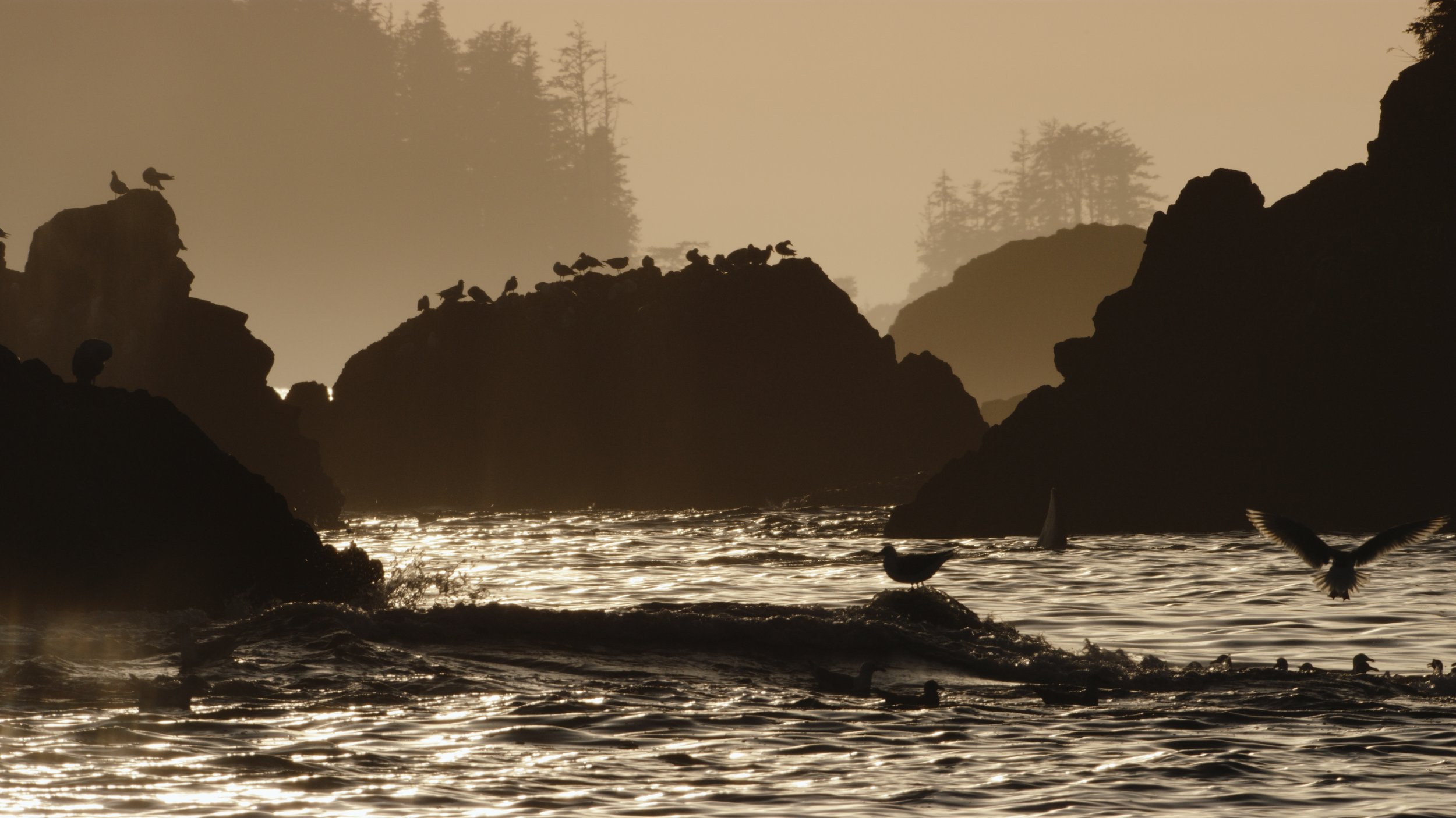 Shotover Commercial Still_1.32.1.jpg