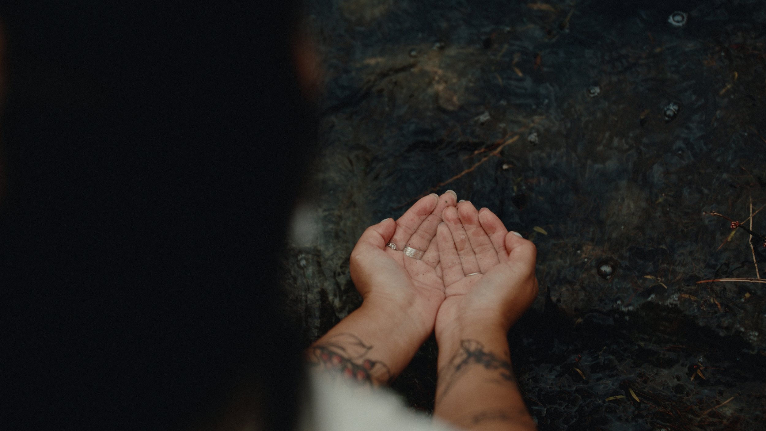 That Which Gives Us Life_2.29.1.jpg