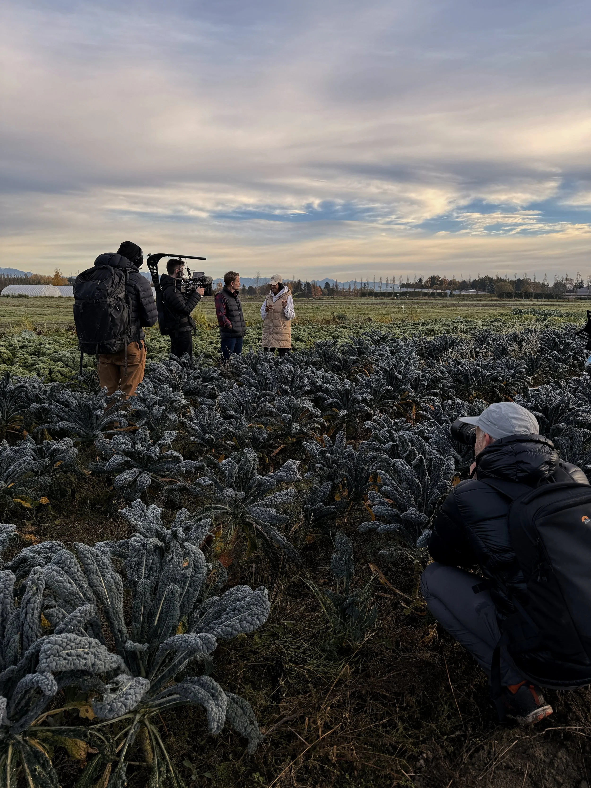 BTS STill 1_1.16.1.jpg