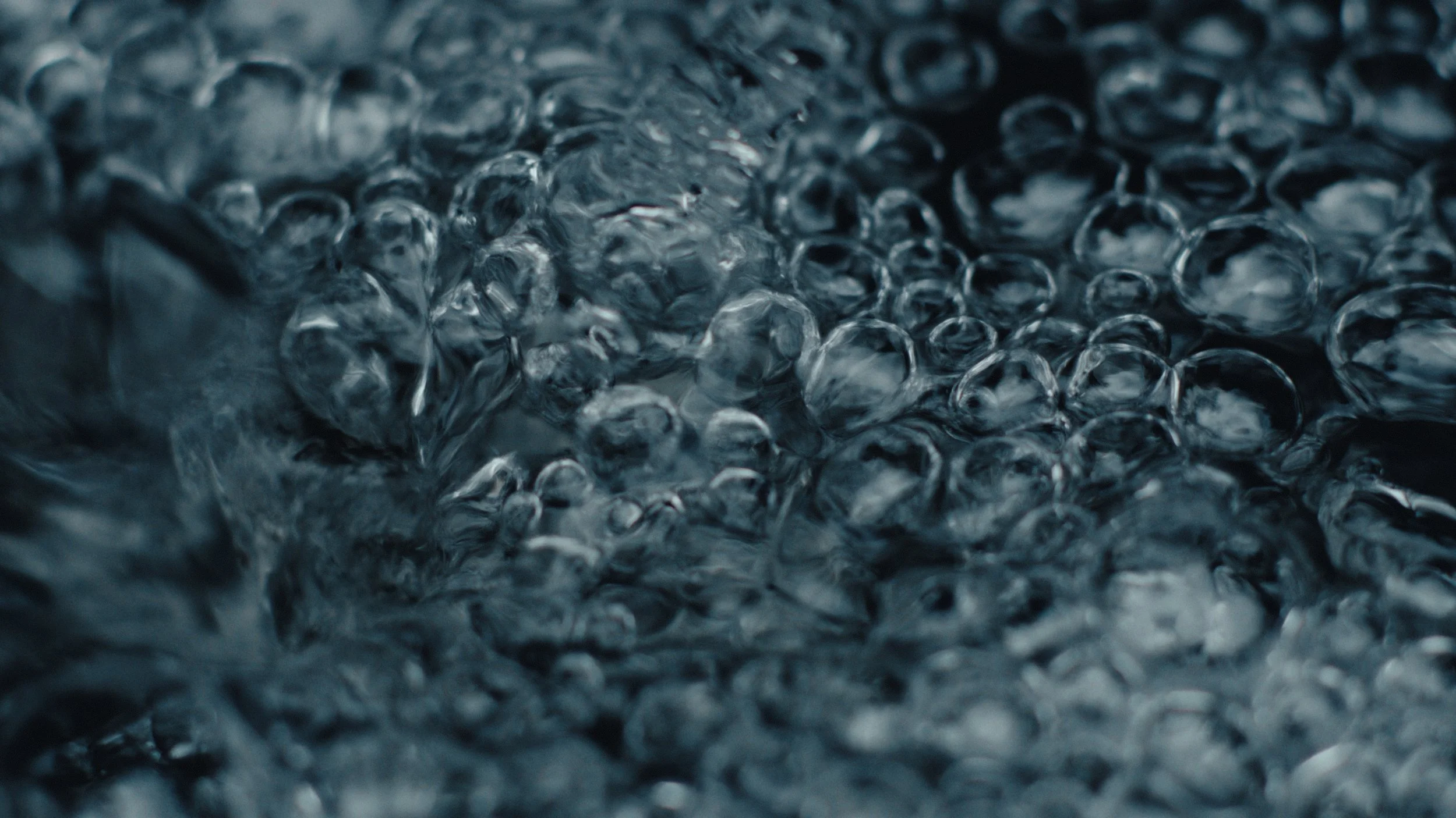 That Which Gives Us Life_2.3.1.jpg