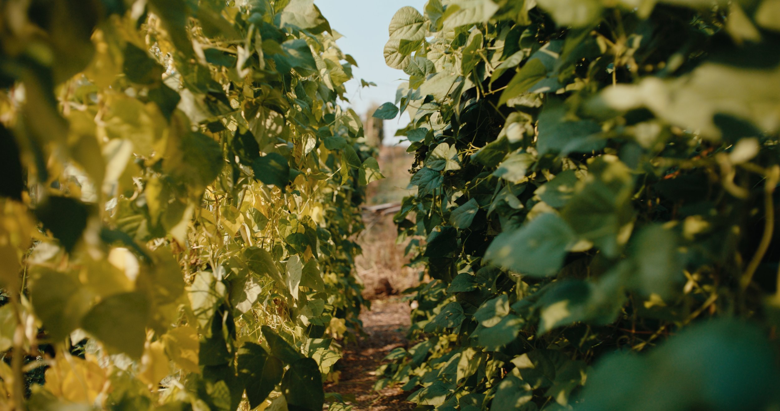 TOTA_V&V_EP 2 Still_JPEG_1.27.1.jpg