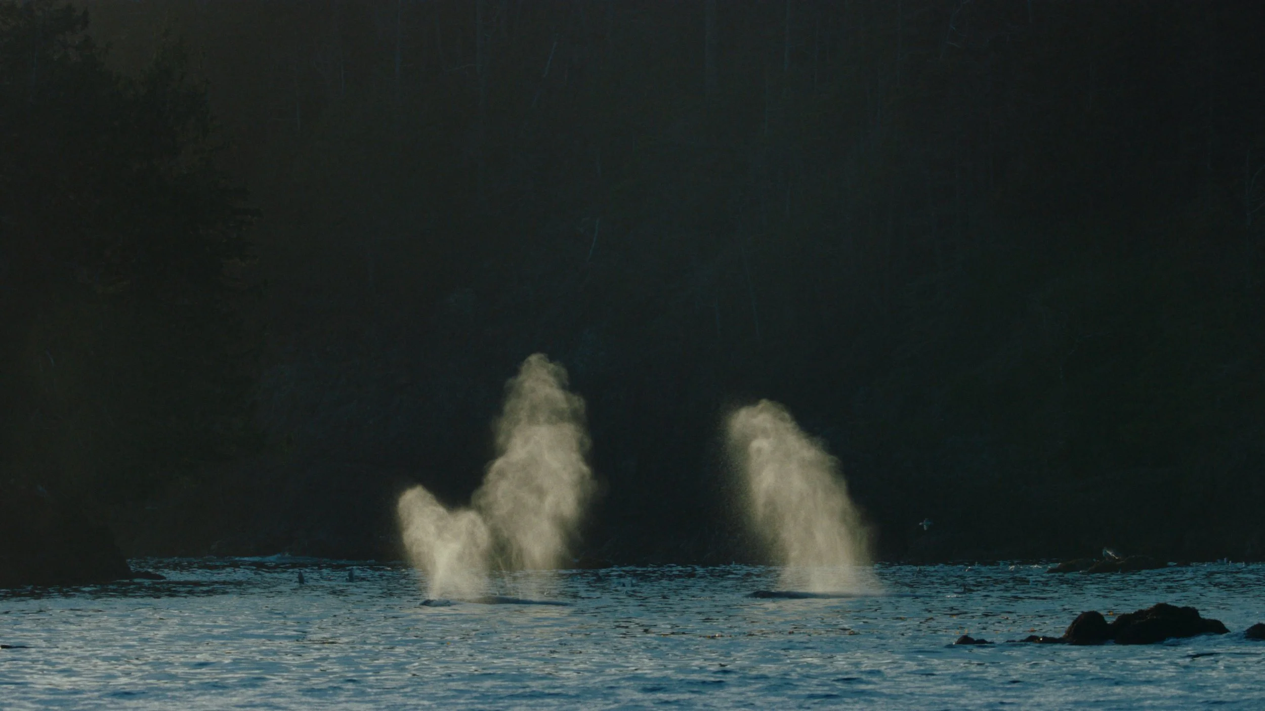 Shotover Commercial Still_1.26.1.jpg
