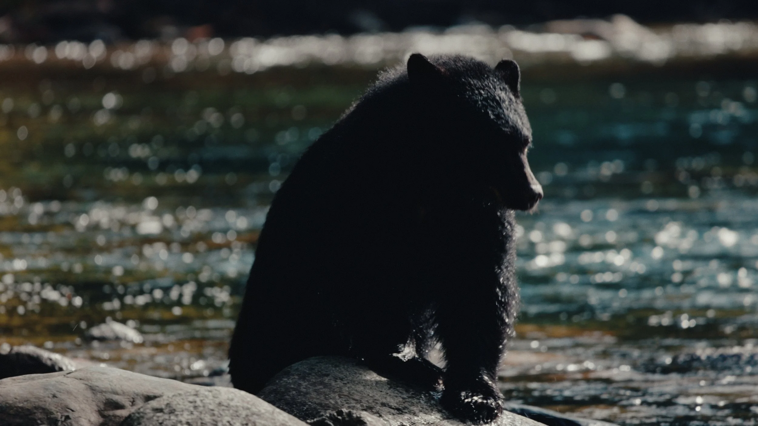 That Which Gives Us Life_4.1.1.jpg