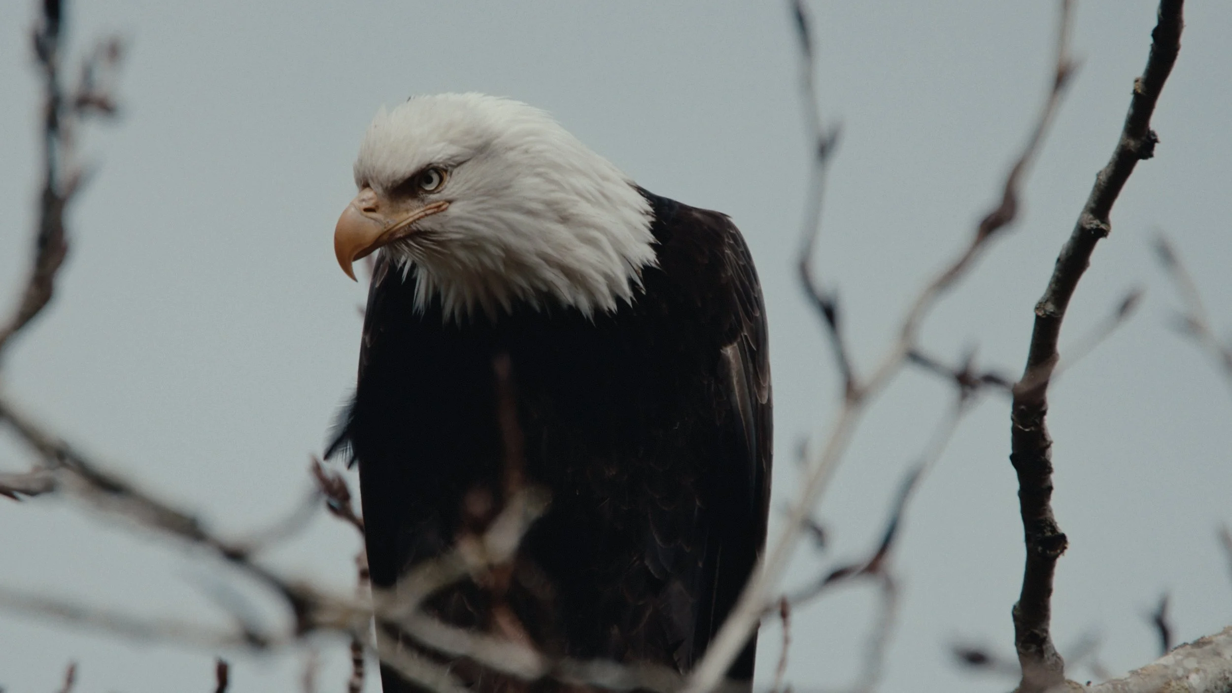 That Which Gives Us Life_3.9.1.jpg