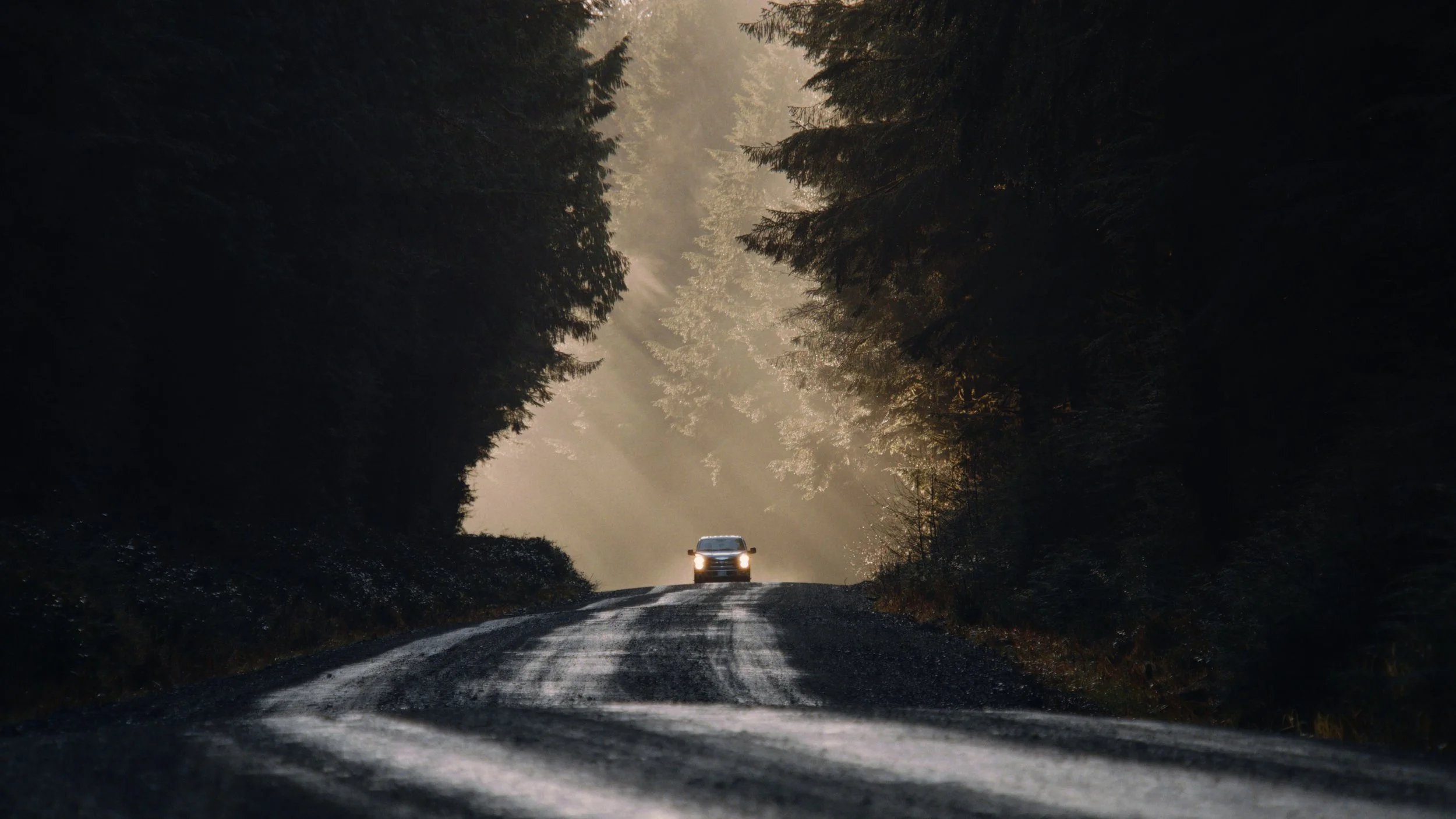 Shaped Us Over Time_Still_Jpeg_1.19.1.jpg