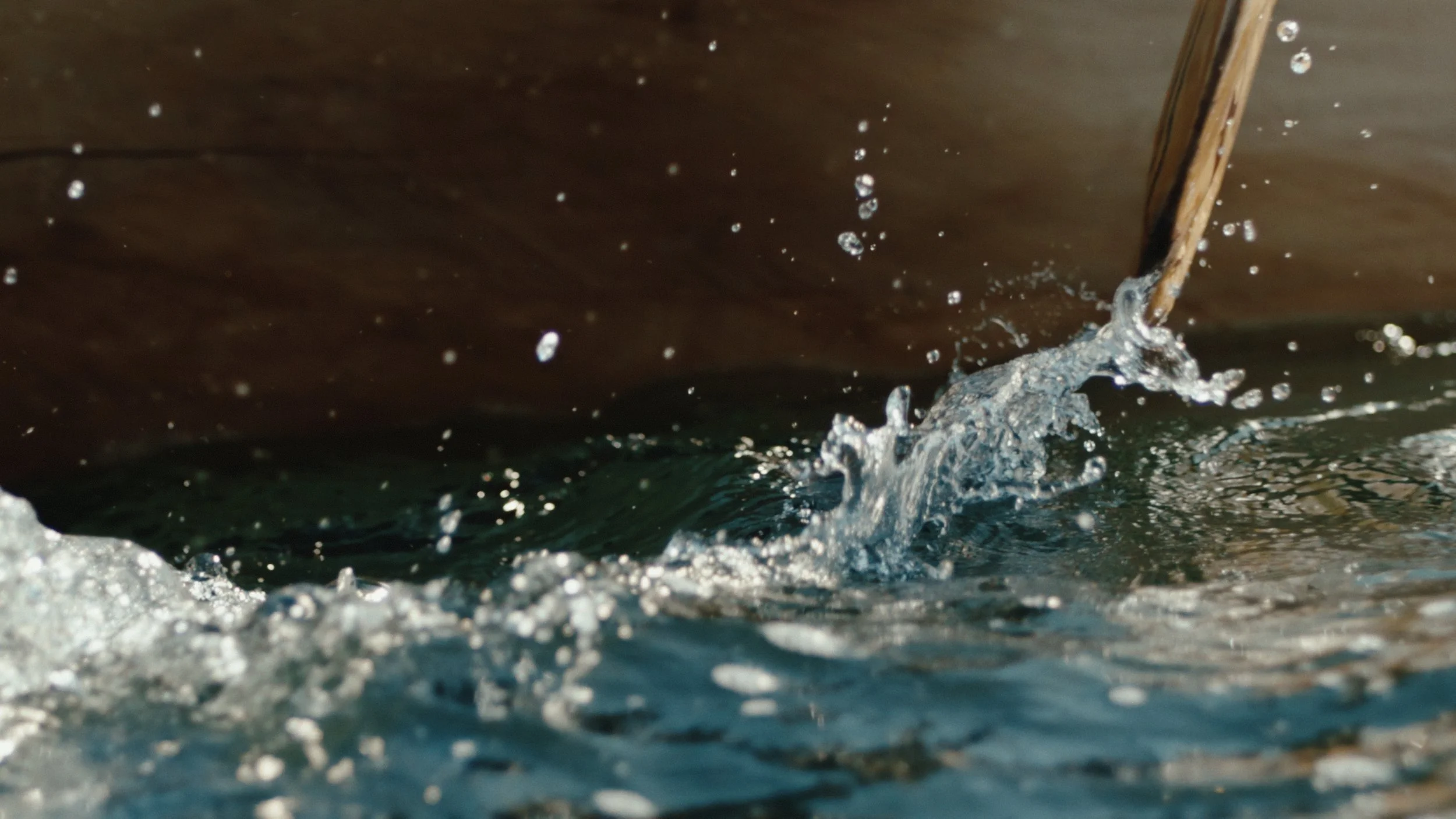 That Which Gives Us Life_2.12.1.jpg