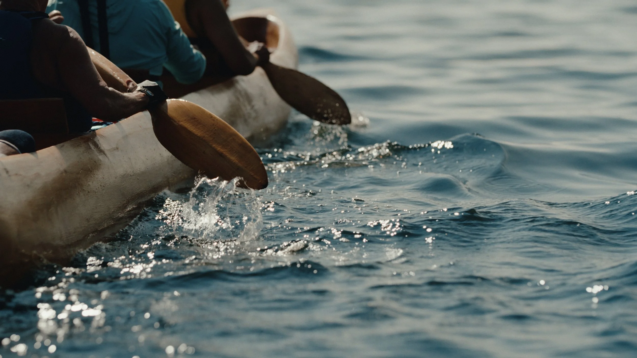 That Which Gives Us Life_2.11.1.jpg