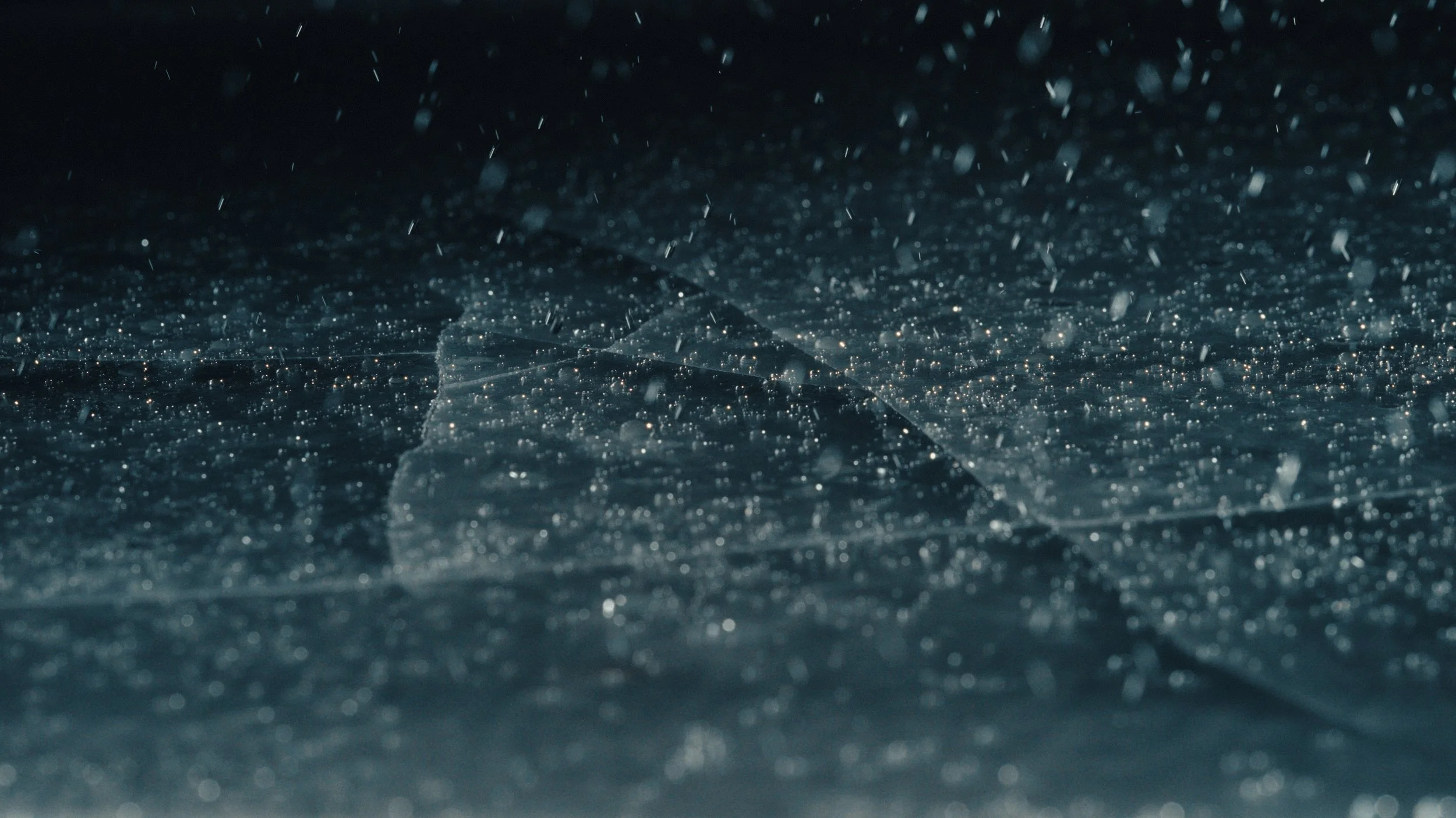 That Which Gives Us Life_3.24.1.jpg