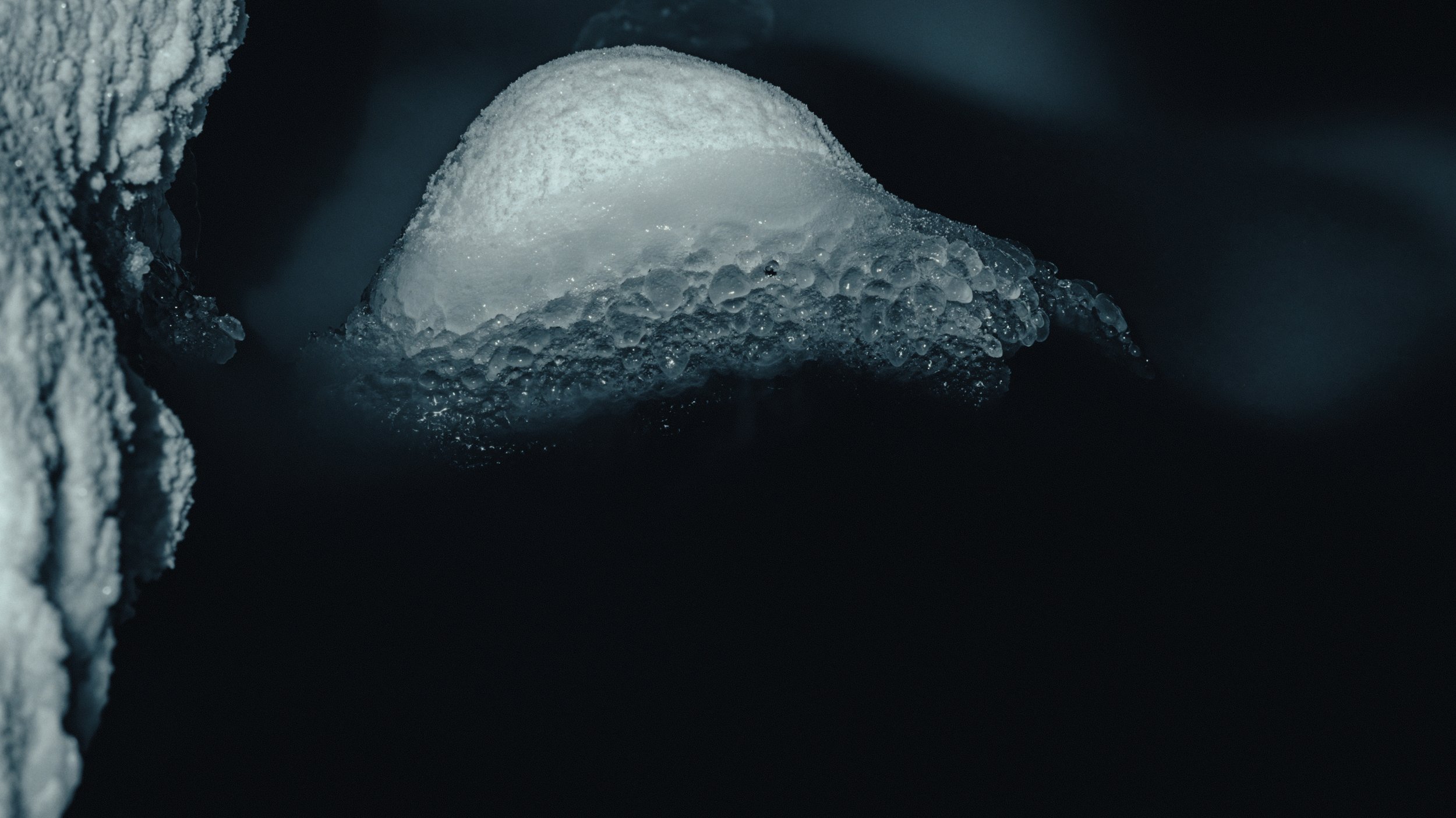 That Which Gives Us Life_3.26.1.jpg