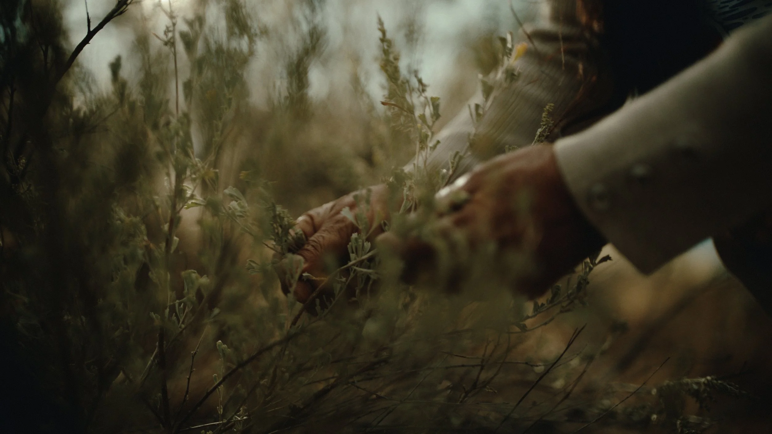 That Which Gives Us Life_1.7.1.jpg