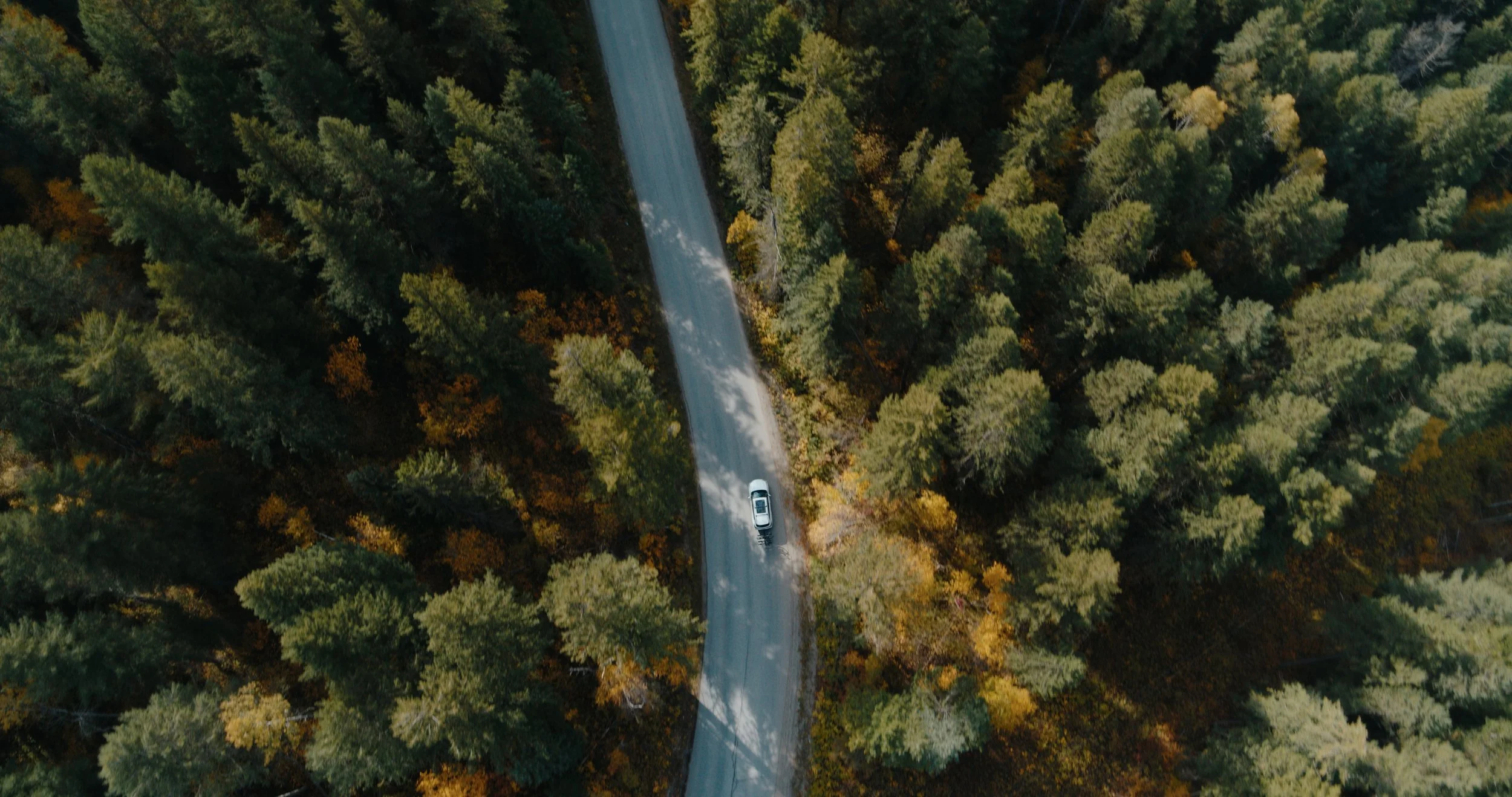 DBC_RTR_EP 6 Still_JPEG_1.28.1.jpg