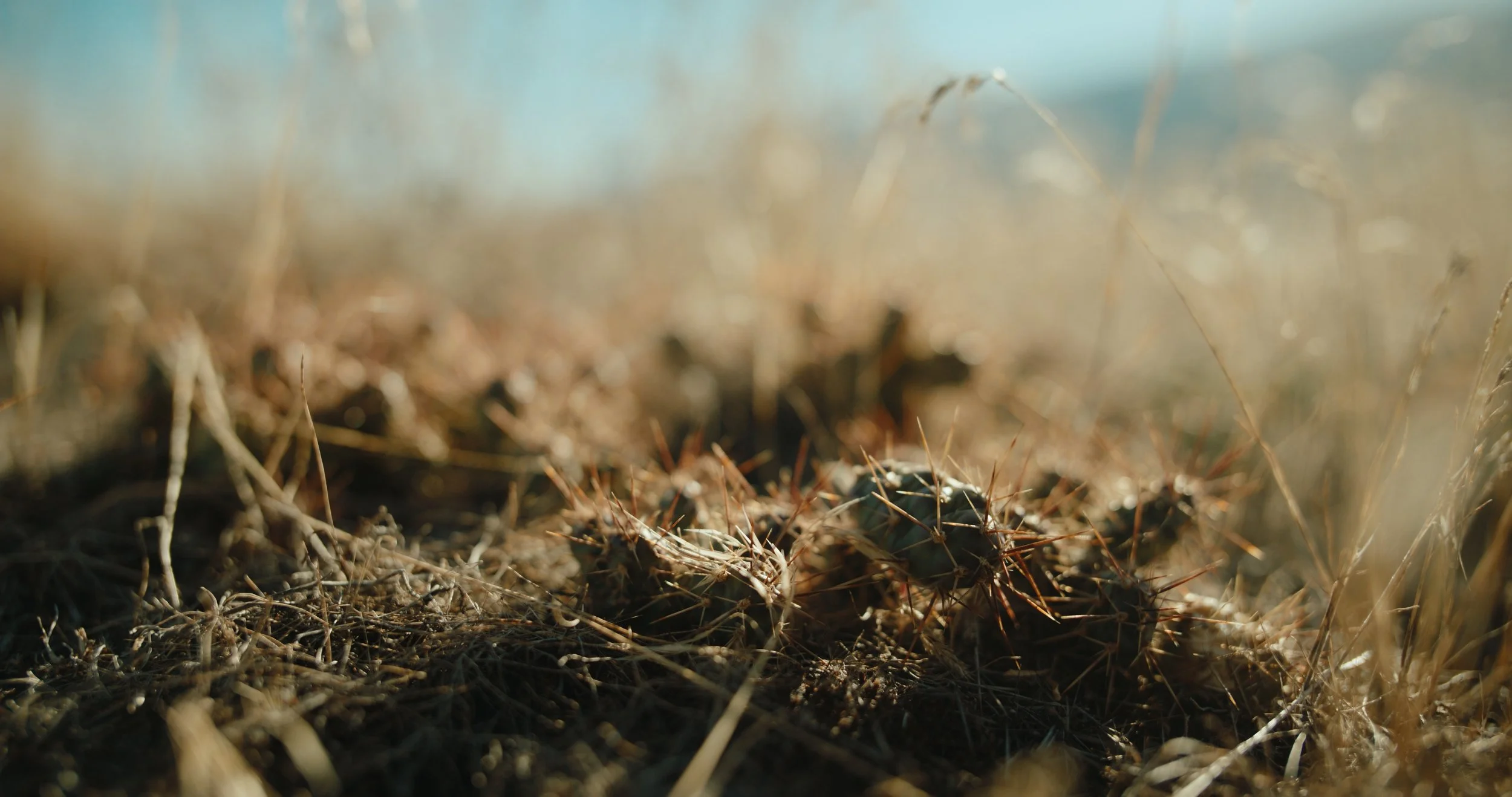 TOTA_V&V_EP 3 Still_JPEG_1.17.1.jpg