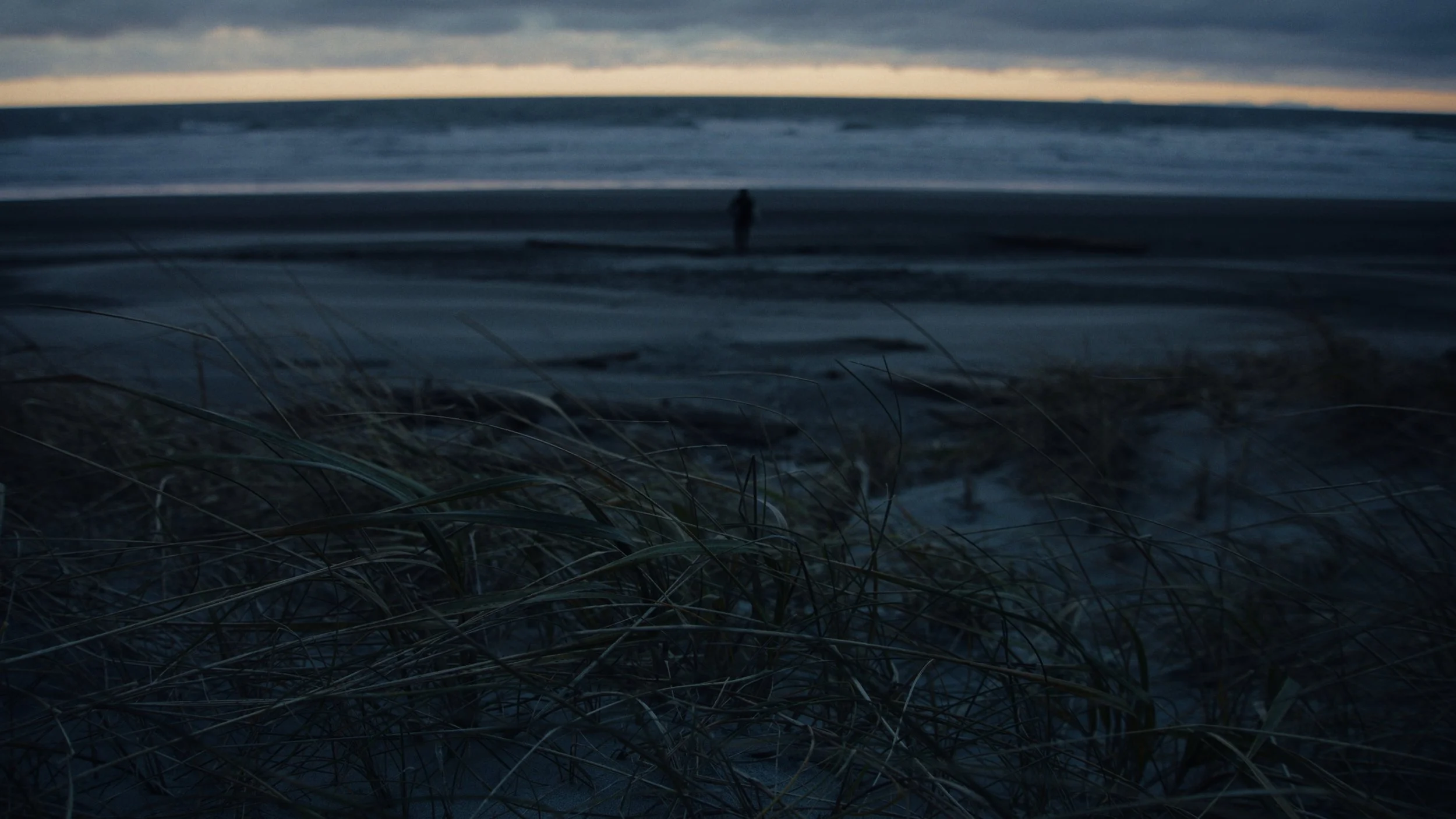 Shaped Us Over Time_Still_Jpeg_1.39.1.jpg