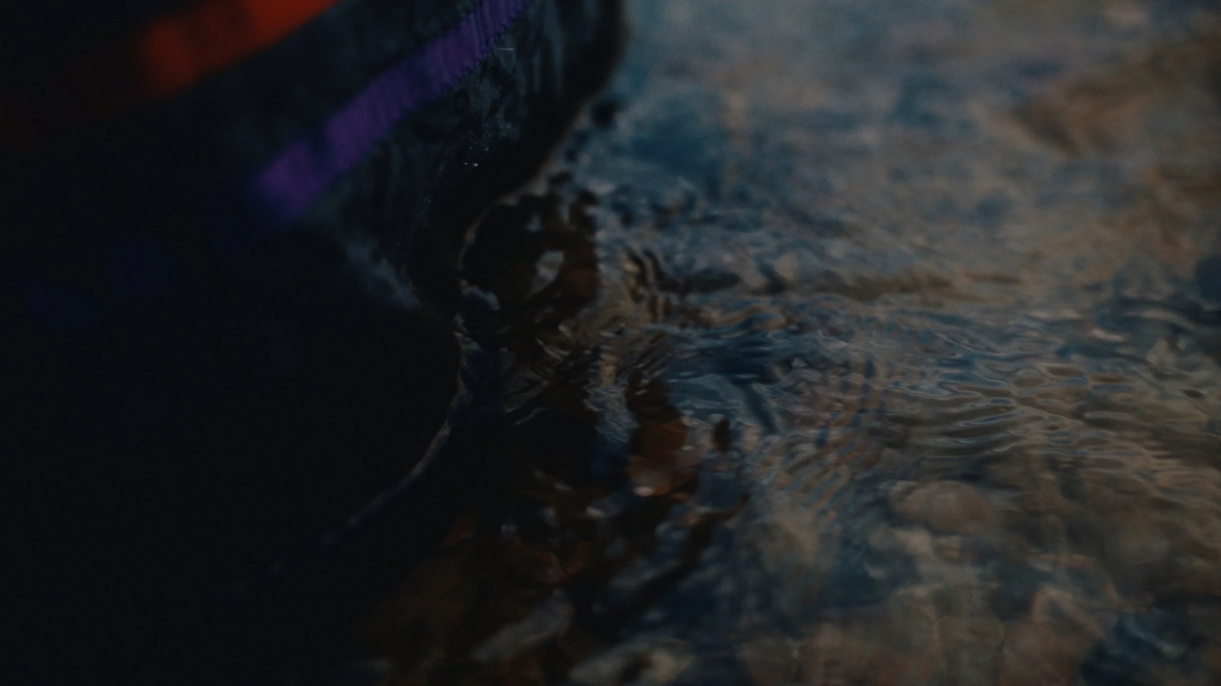 That Which Gives Us Life_2.53.1.jpg