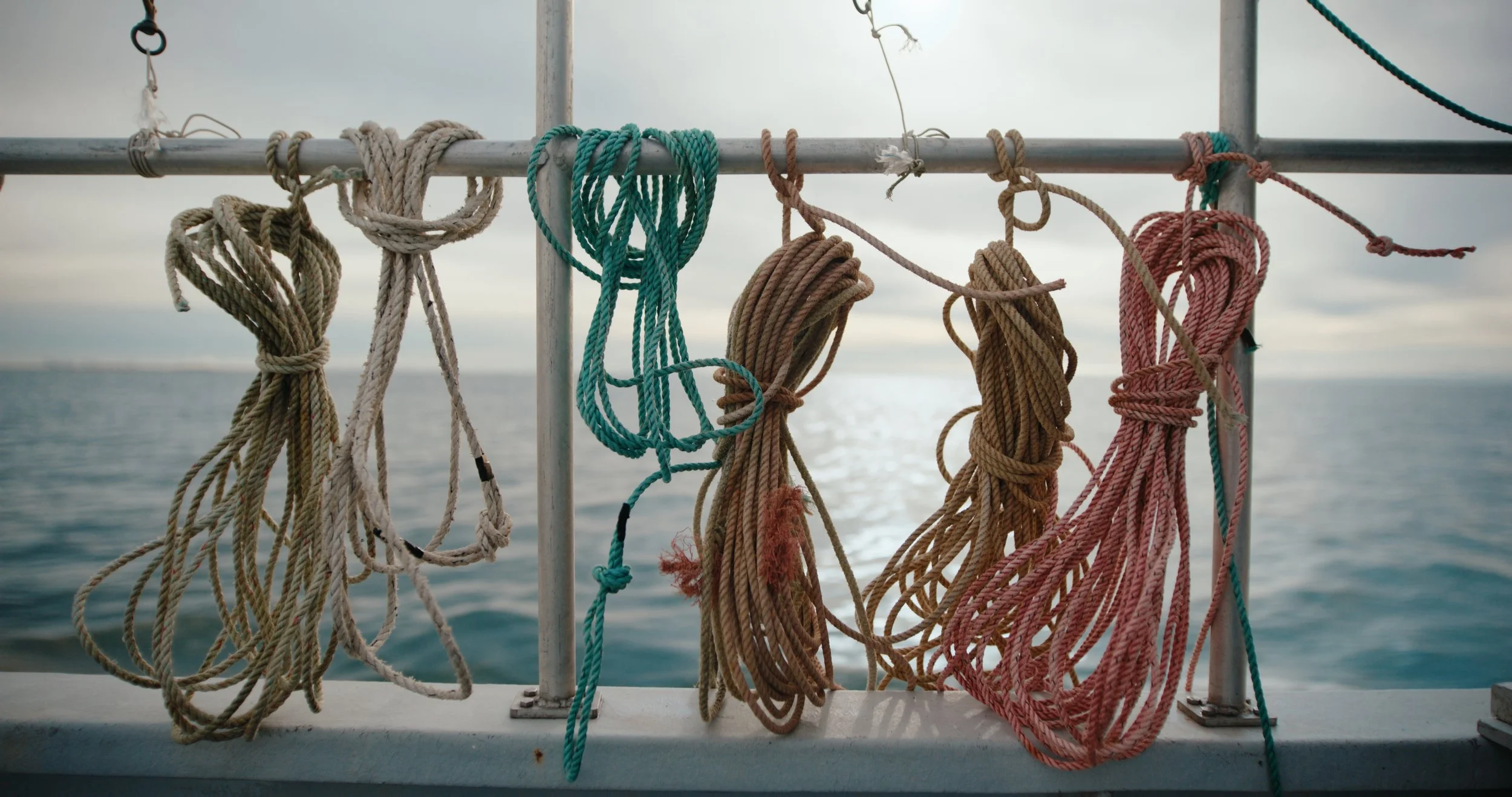 DBC_RTR_EP 1 Still_JPEG_2.40.1.jpg