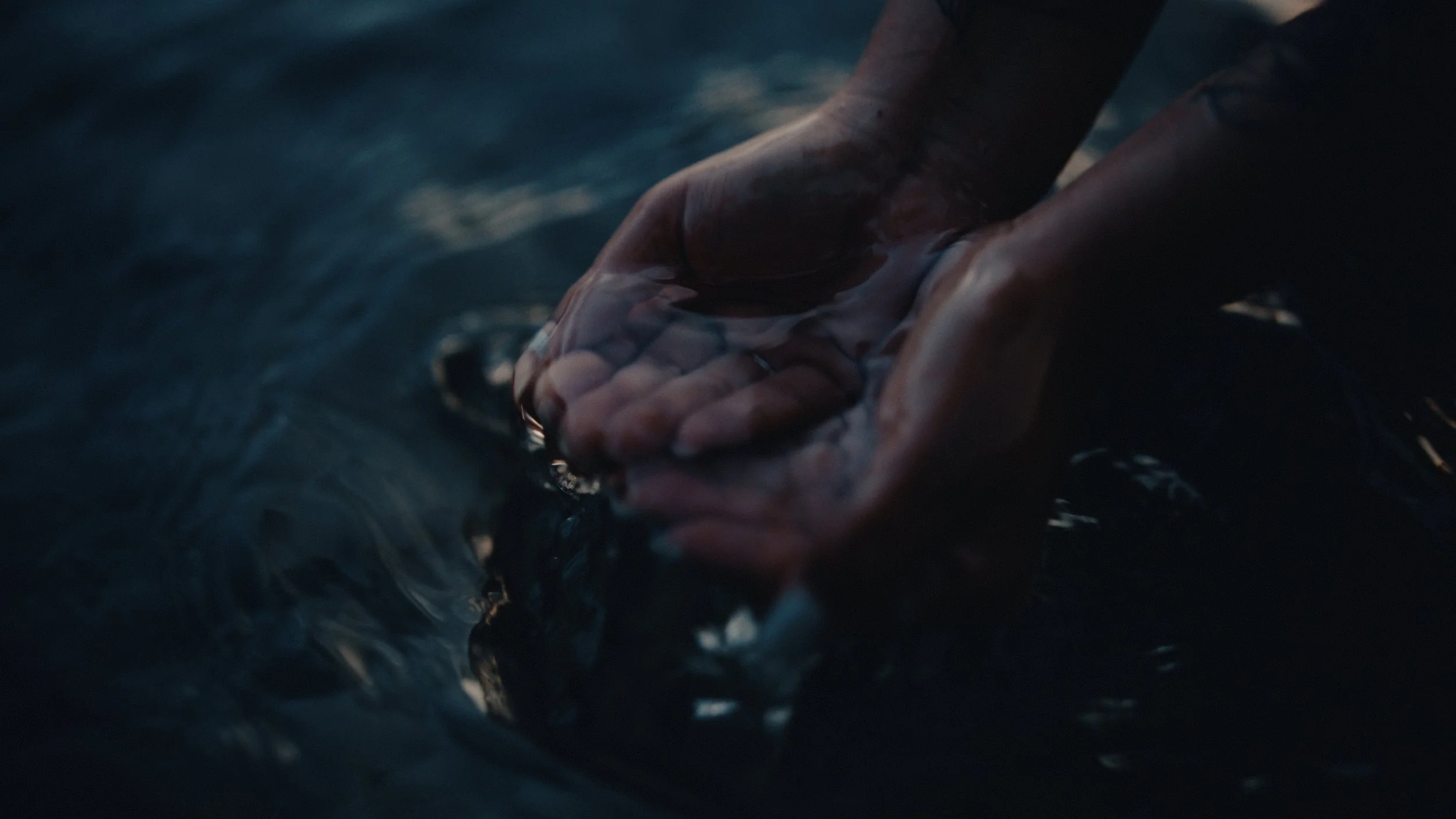 That Which Gives Us Life_2.51.1.jpg