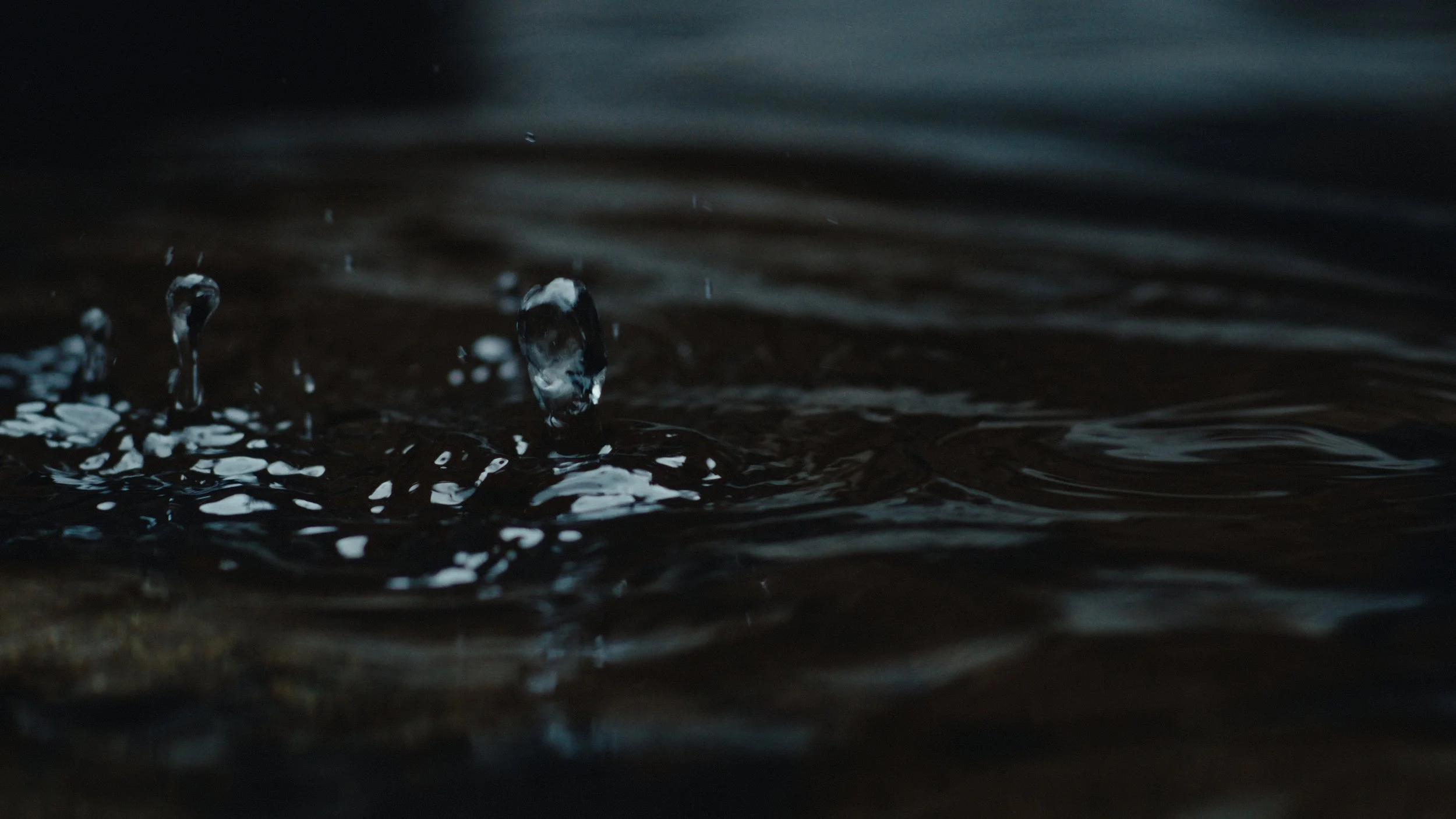 That Which Gives Us Life_2.4.1.jpg