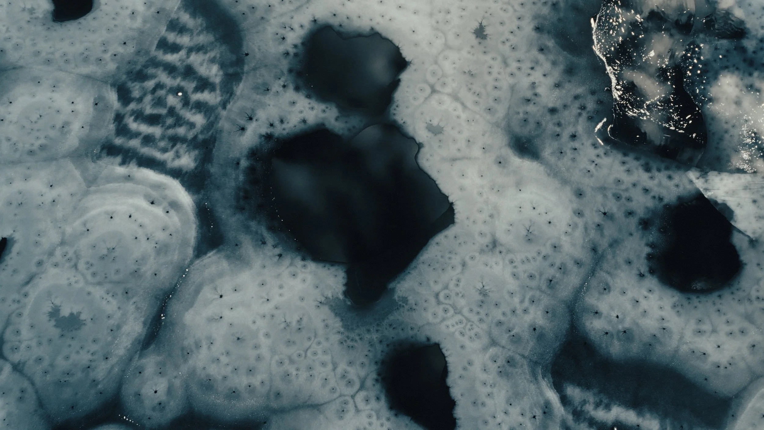 That Which Gives Us Life_3.23.1.jpg