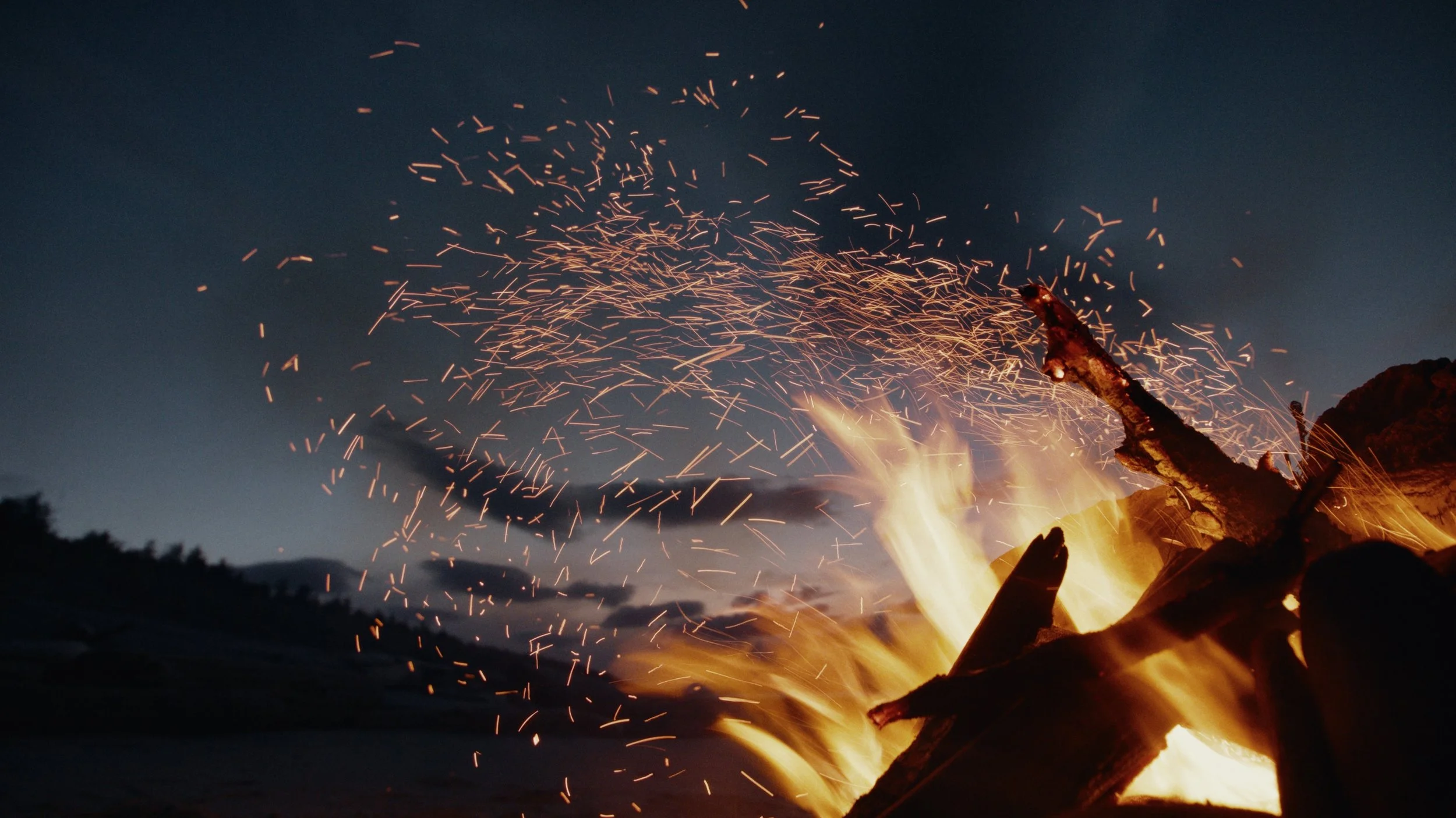 Shaped Us Over Time_Still_Jpeg_1.16.1.jpg