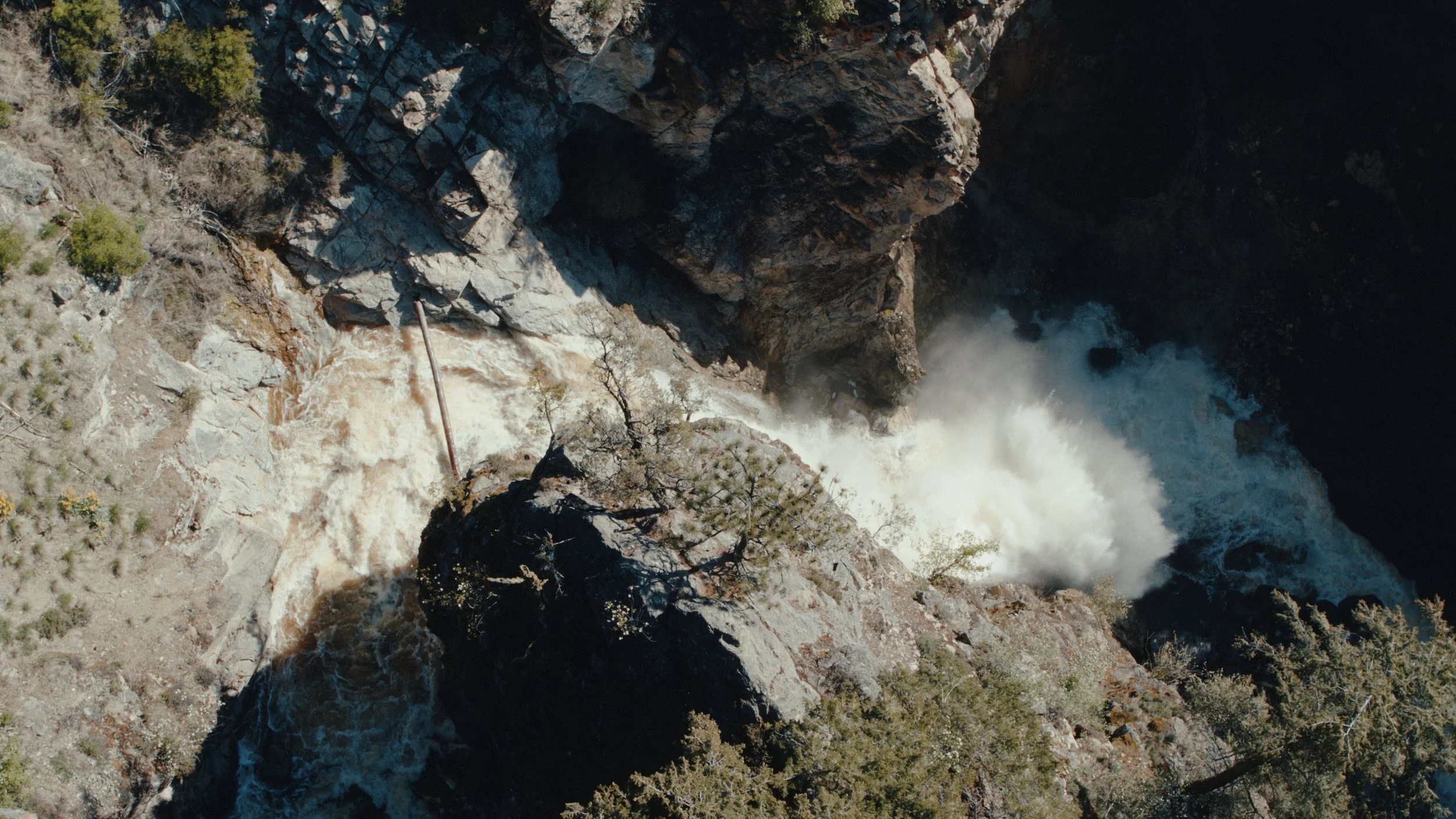 That Which Gives Us Life_4.5.1.jpg