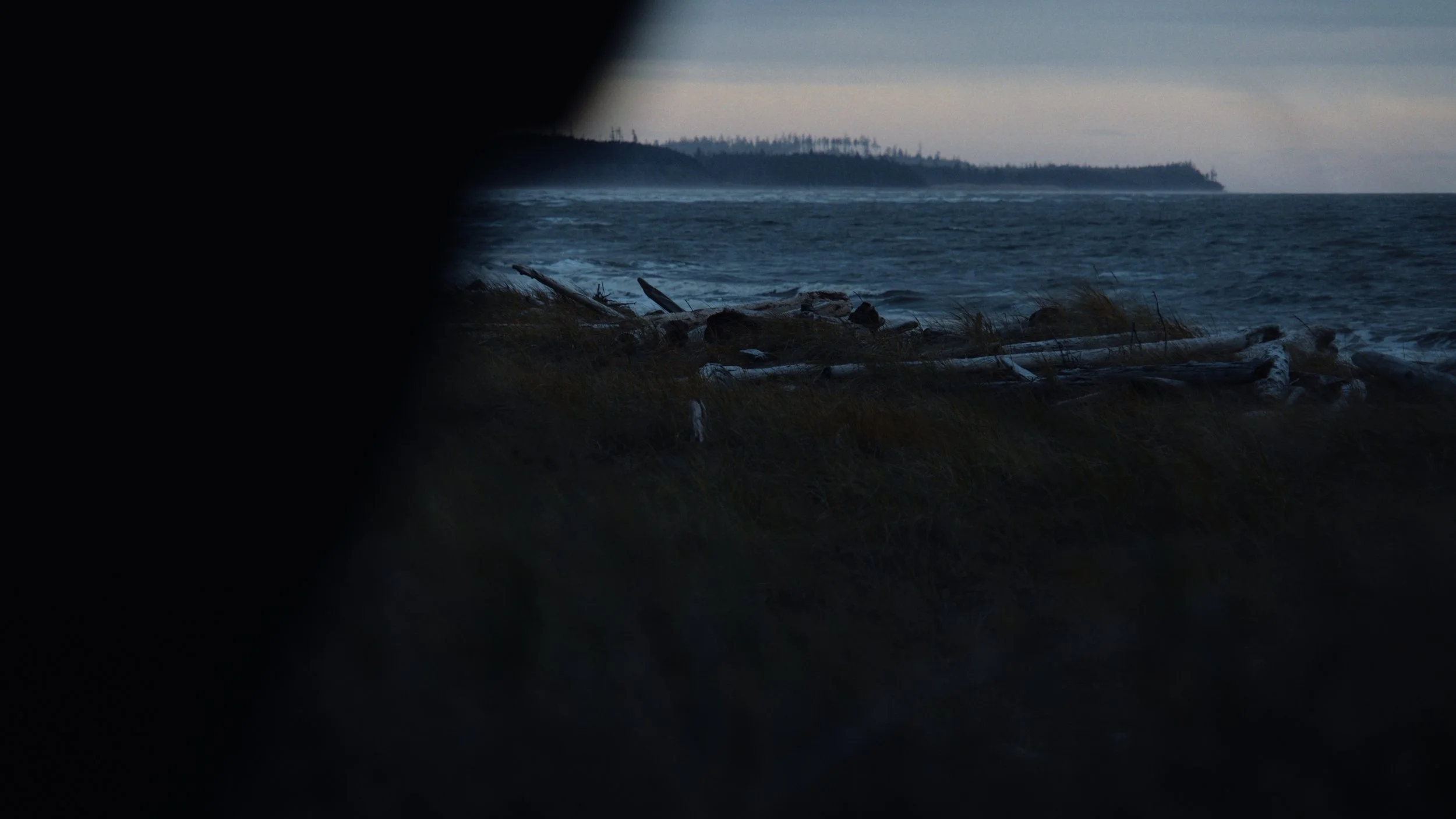 Shaped Us Over Time_Still_Jpeg_1.30.2.jpg