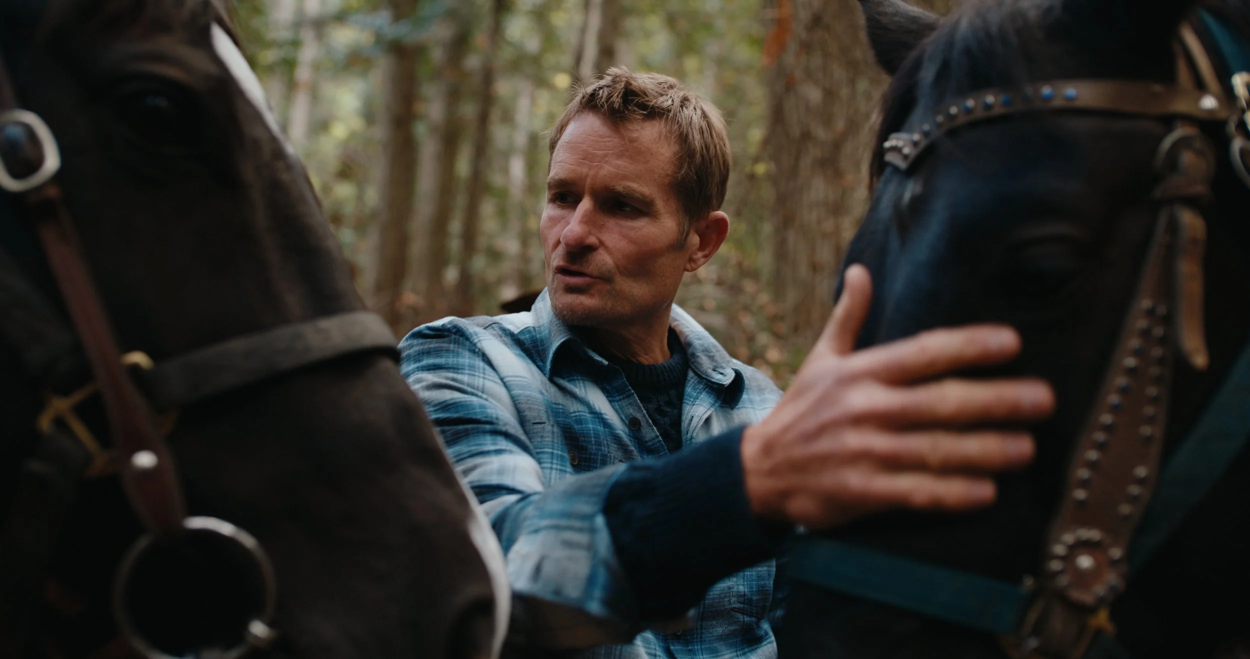 DBC_RTR_EP 6 Still_JPEG_1.100.1.jpg