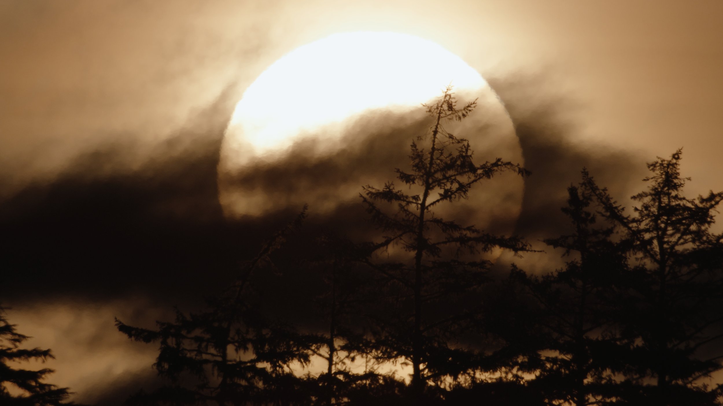 Shotover Commercial Still_1.34.1.jpg