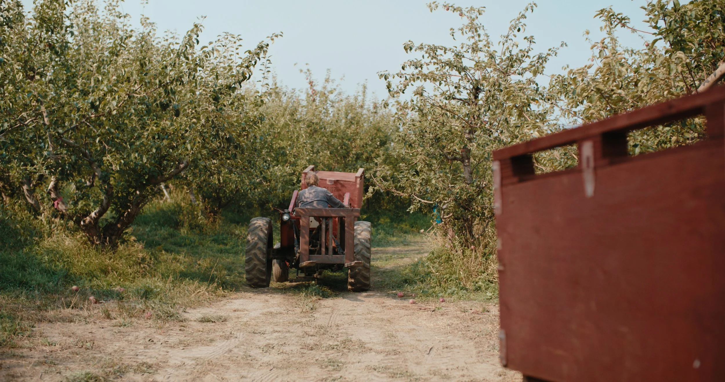 TOTA_V&V_EP 2 Still_JPEG_2.11.1.jpg