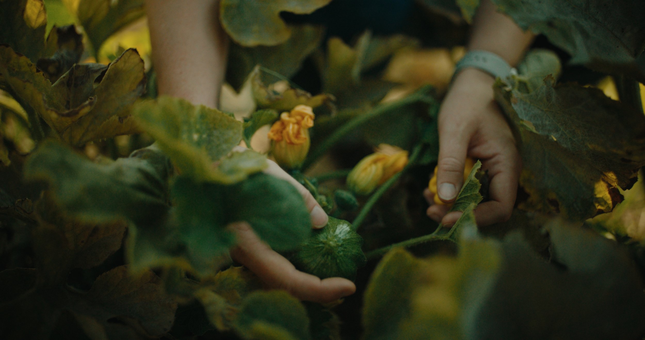 TOTA_V&V_EP 2 Still_JPEG_2.35.1.jpg