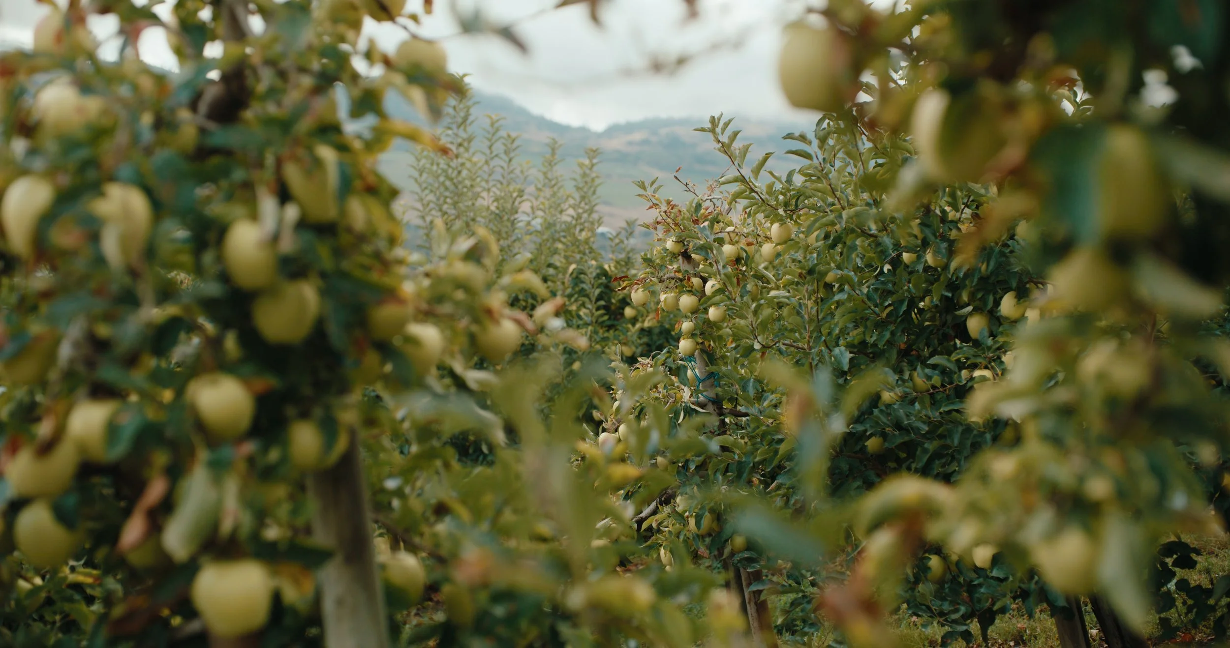 DBC_RTR_EP 4 Still_JPEG_1.25.1.jpg