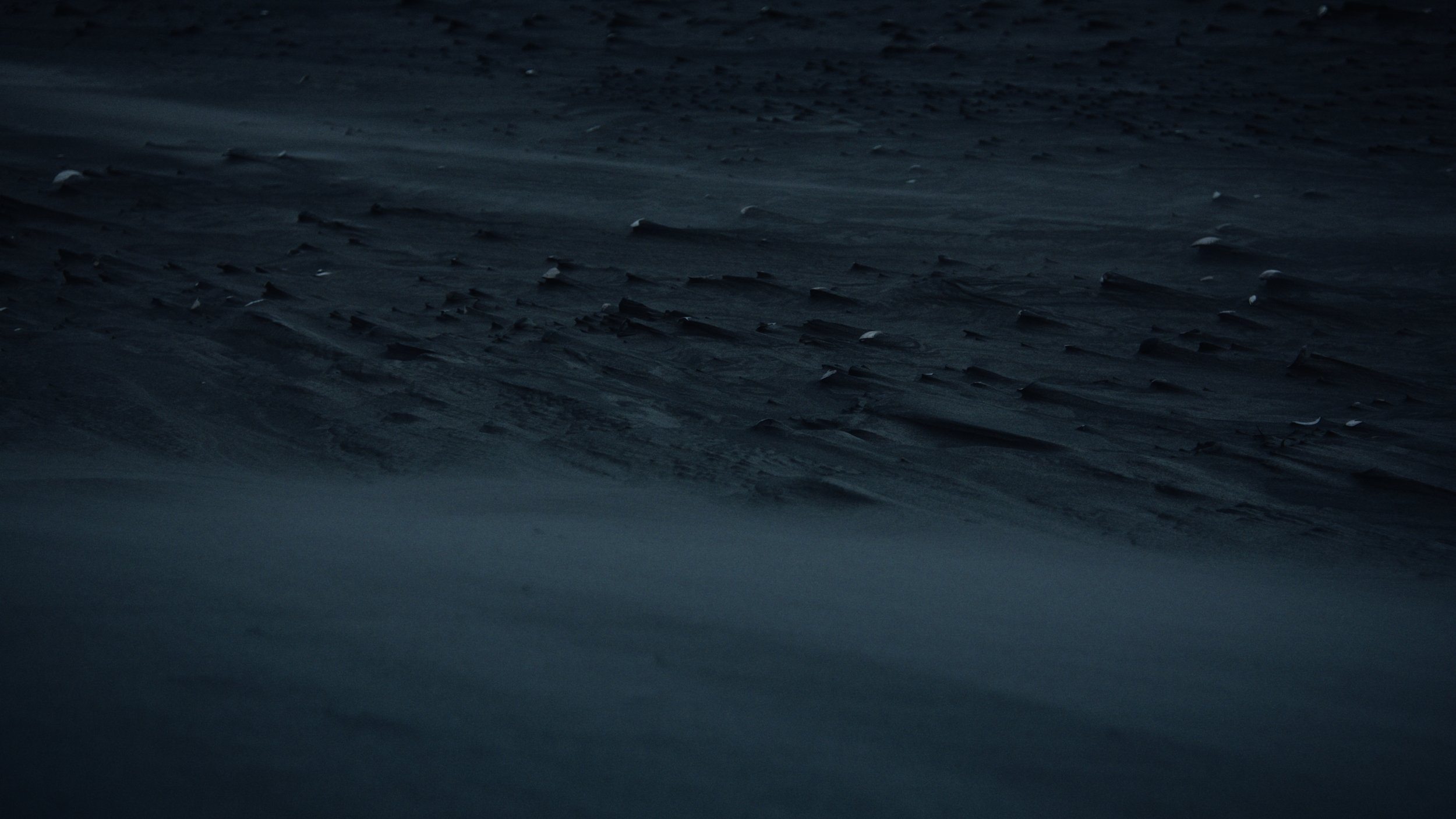 Shaped Us Over Time_Still_Jpeg_1.32.1.jpg