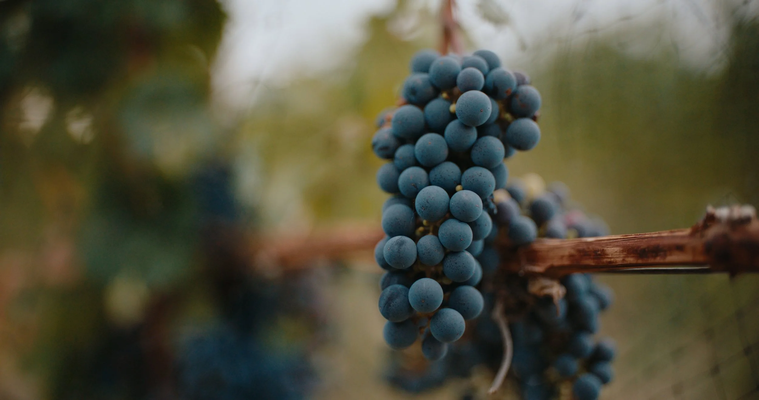 TOTA_V&V_EP 1 Still_JPEG_2.33.1.jpg