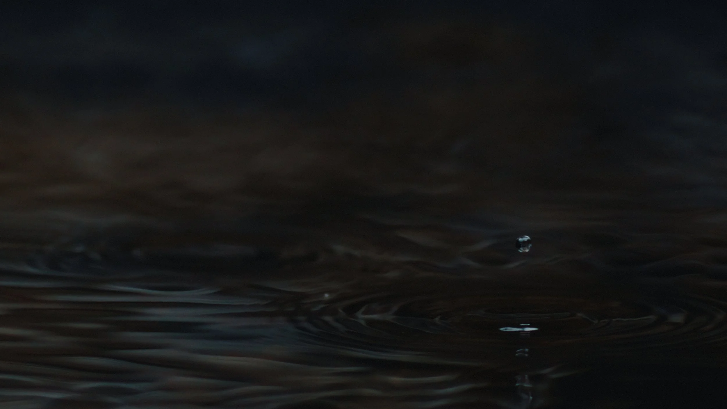 That Which Gives Us Life_4.3.1.jpg