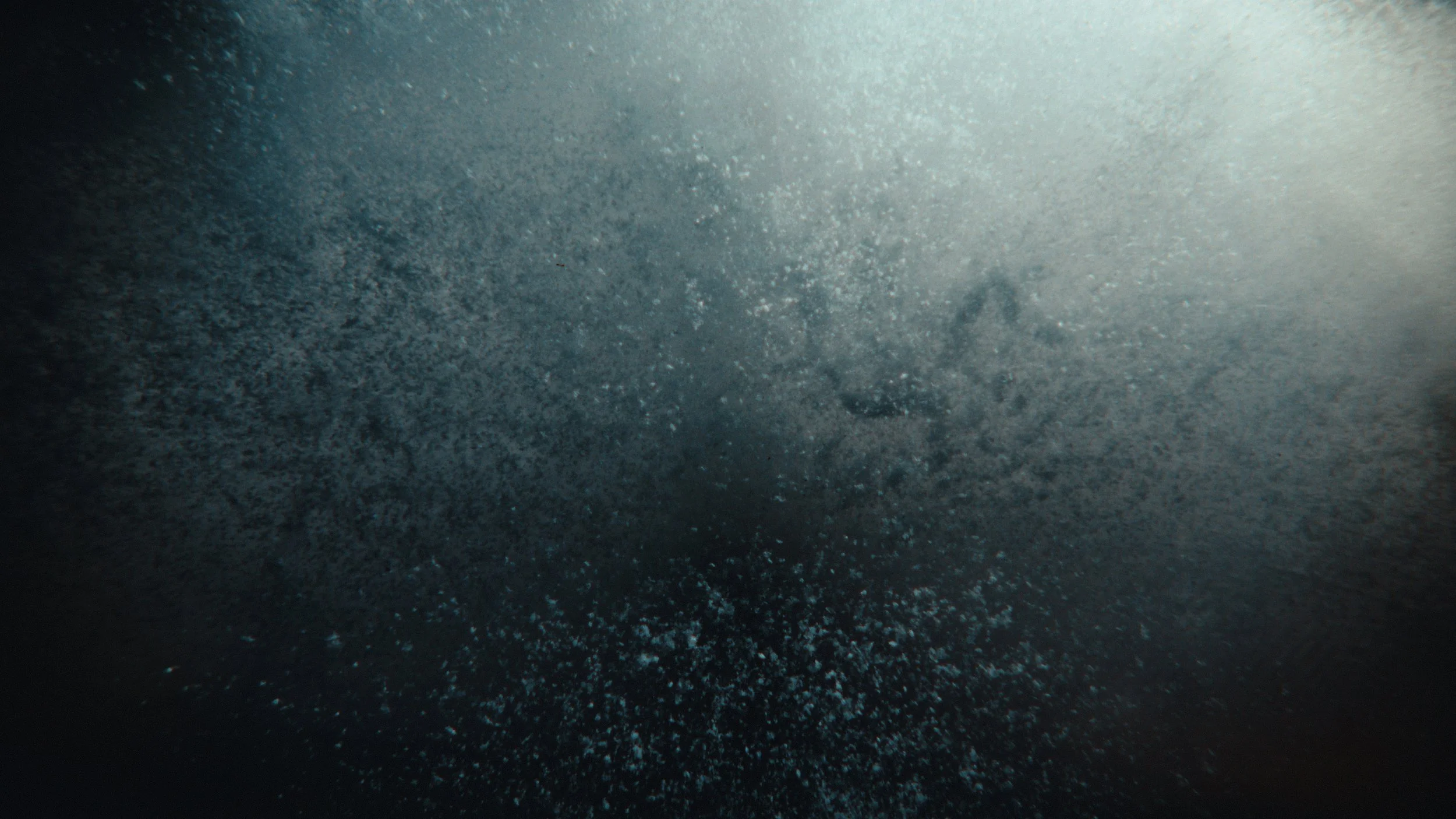 That Which Gives Us Life_3.25.1.jpg